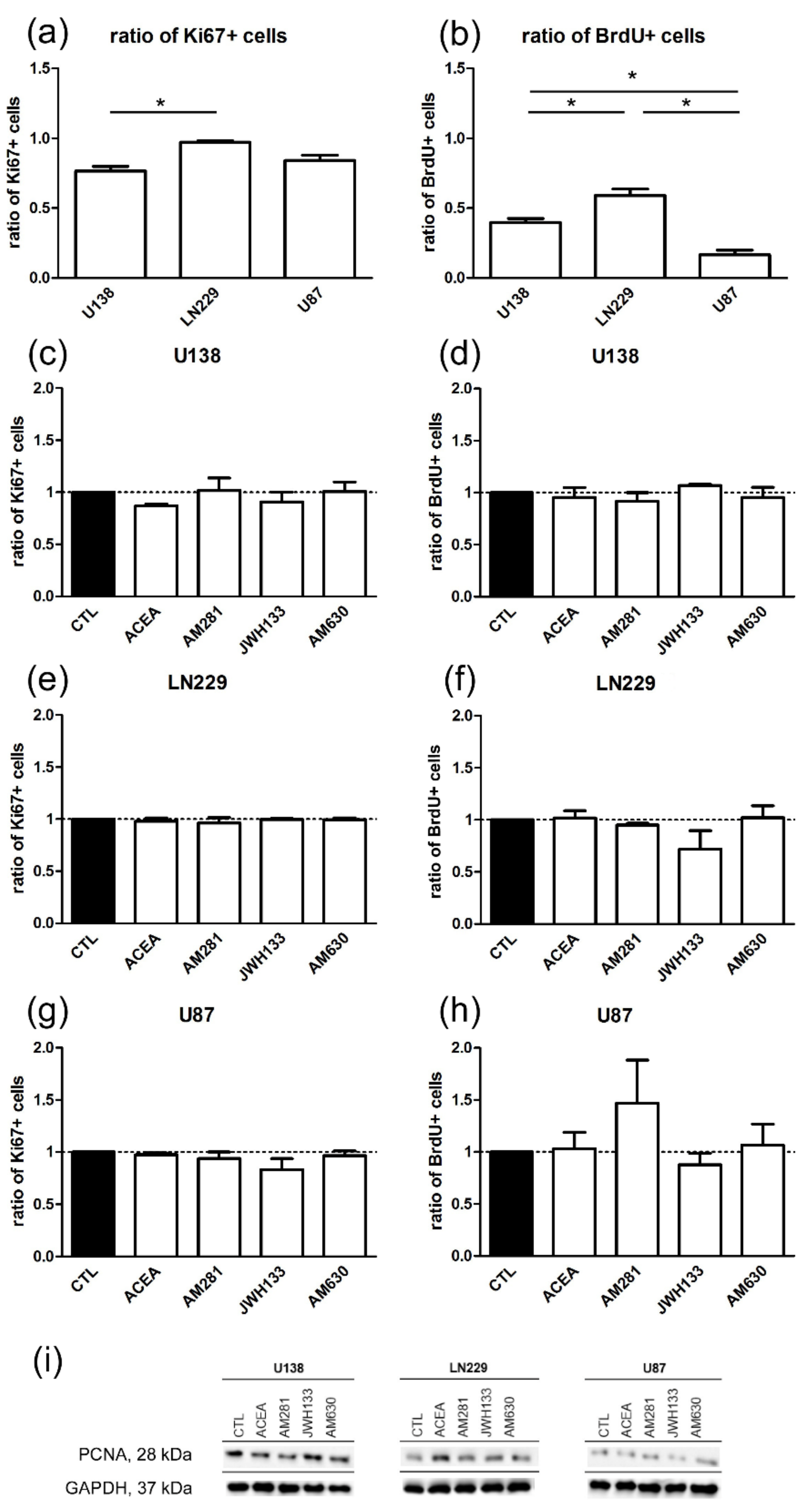 Cancers 11 00161 g002