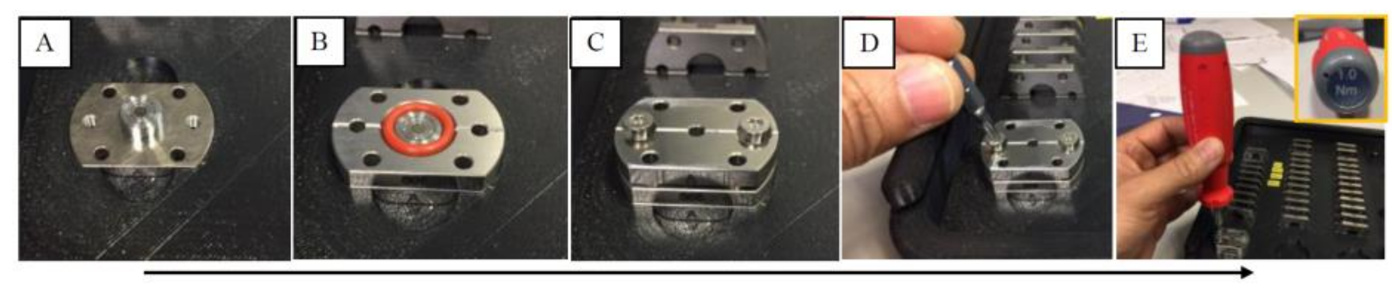 Cancers 11 00162 g007