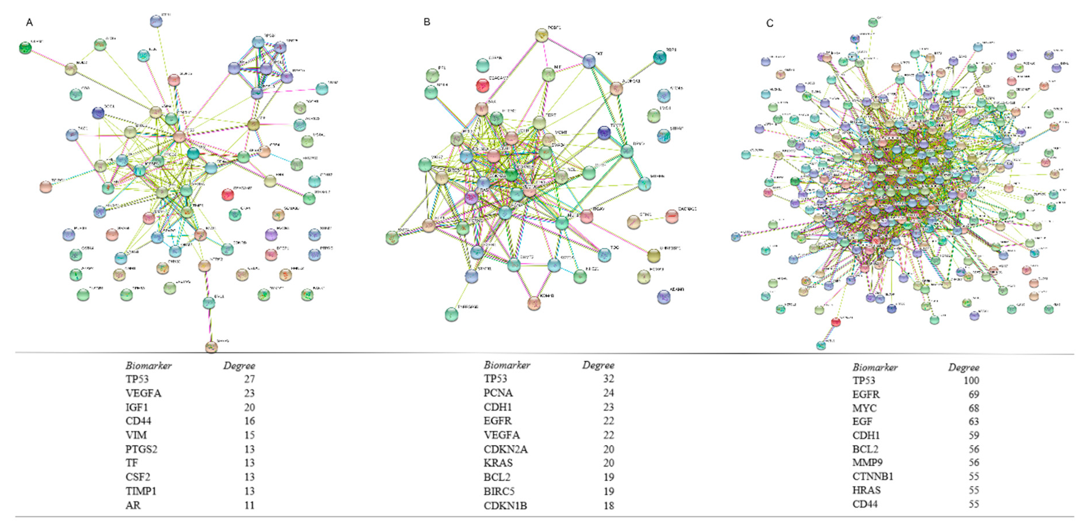Cancers 11 00172 g002