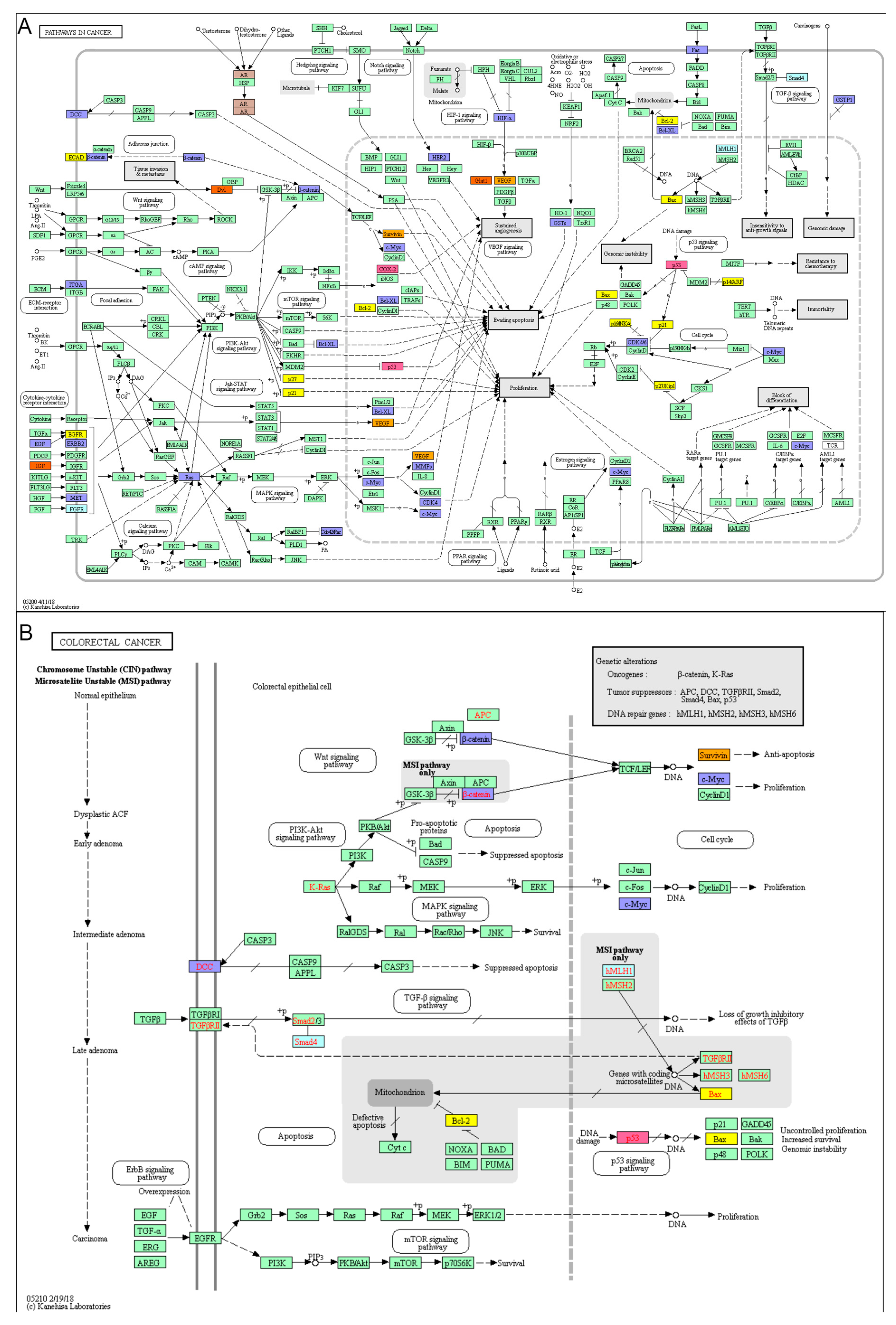 Cancers 11 00172 g003