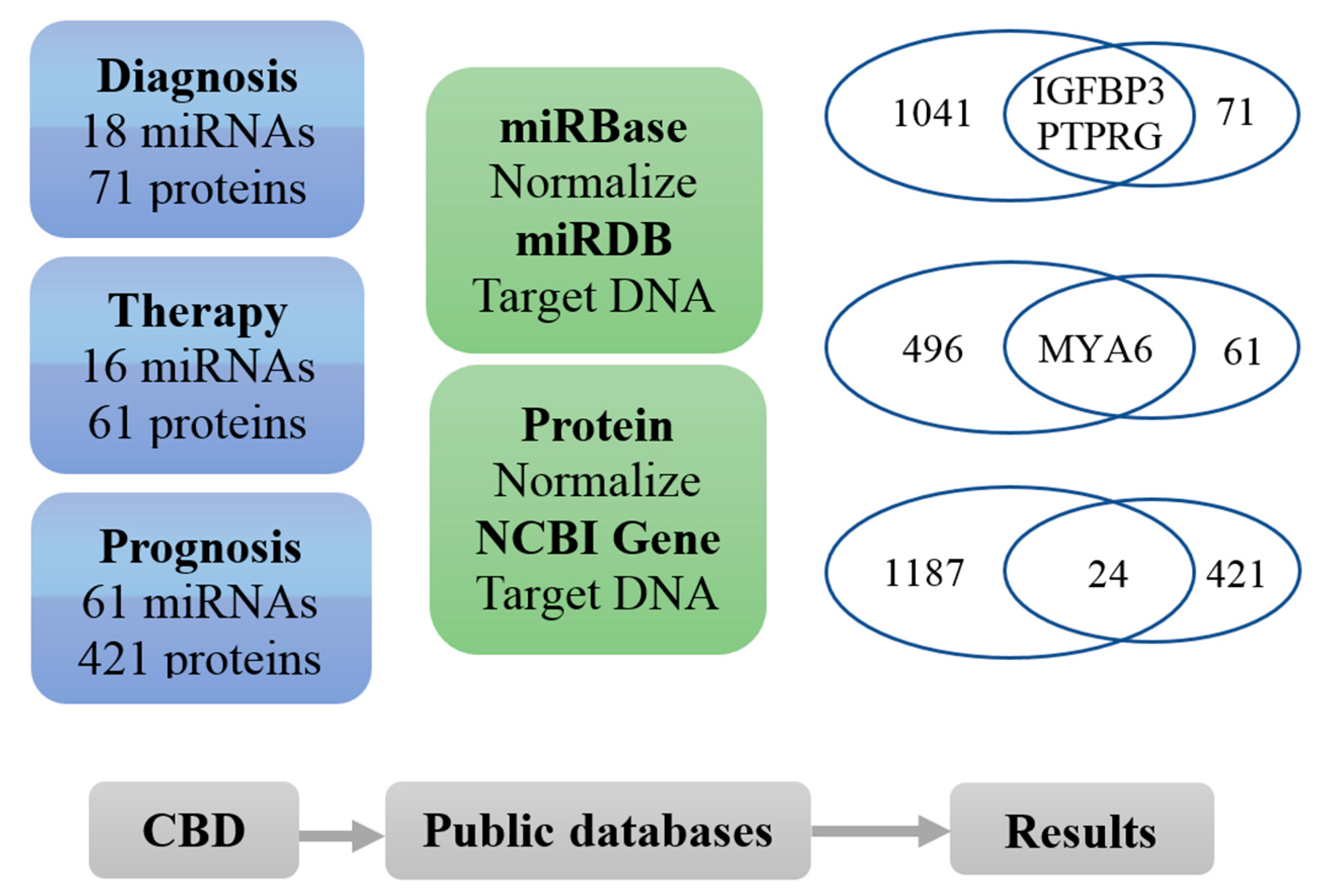 Cancers 11 00172 g005