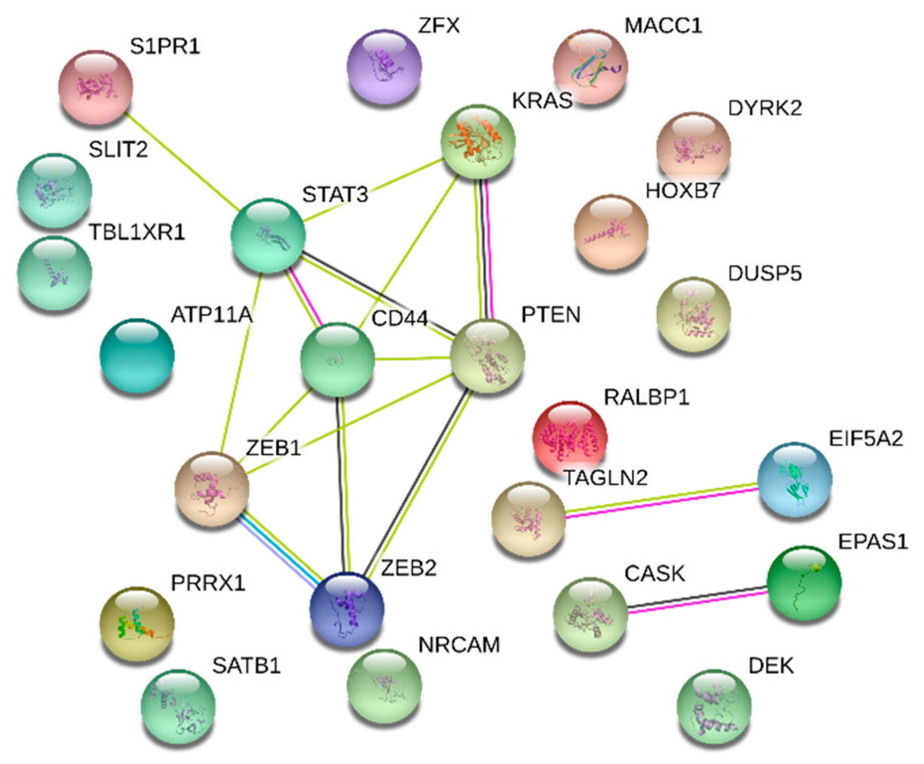 Cancers 11 00172 g006