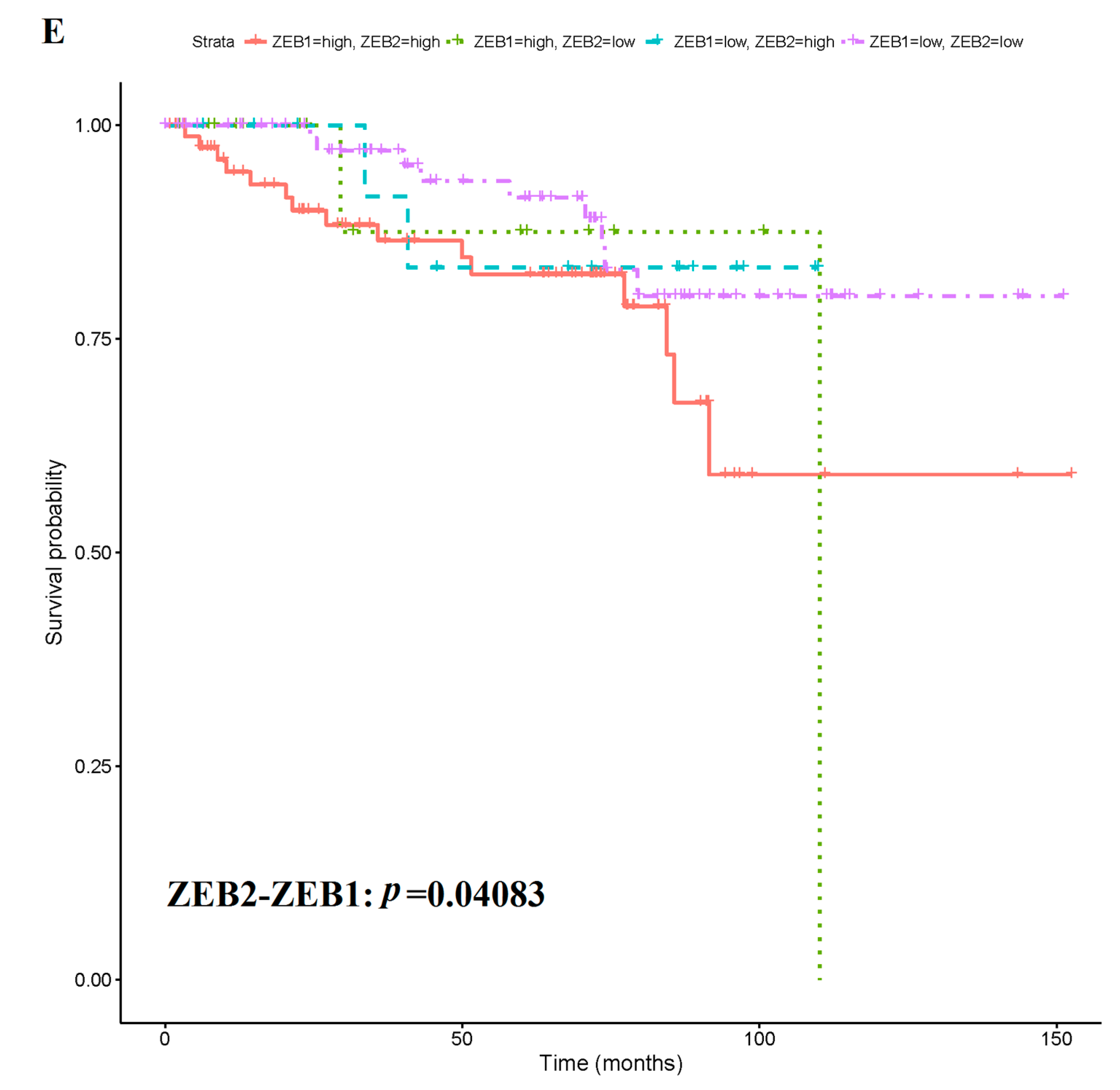 Cancers 11 00172 g008c