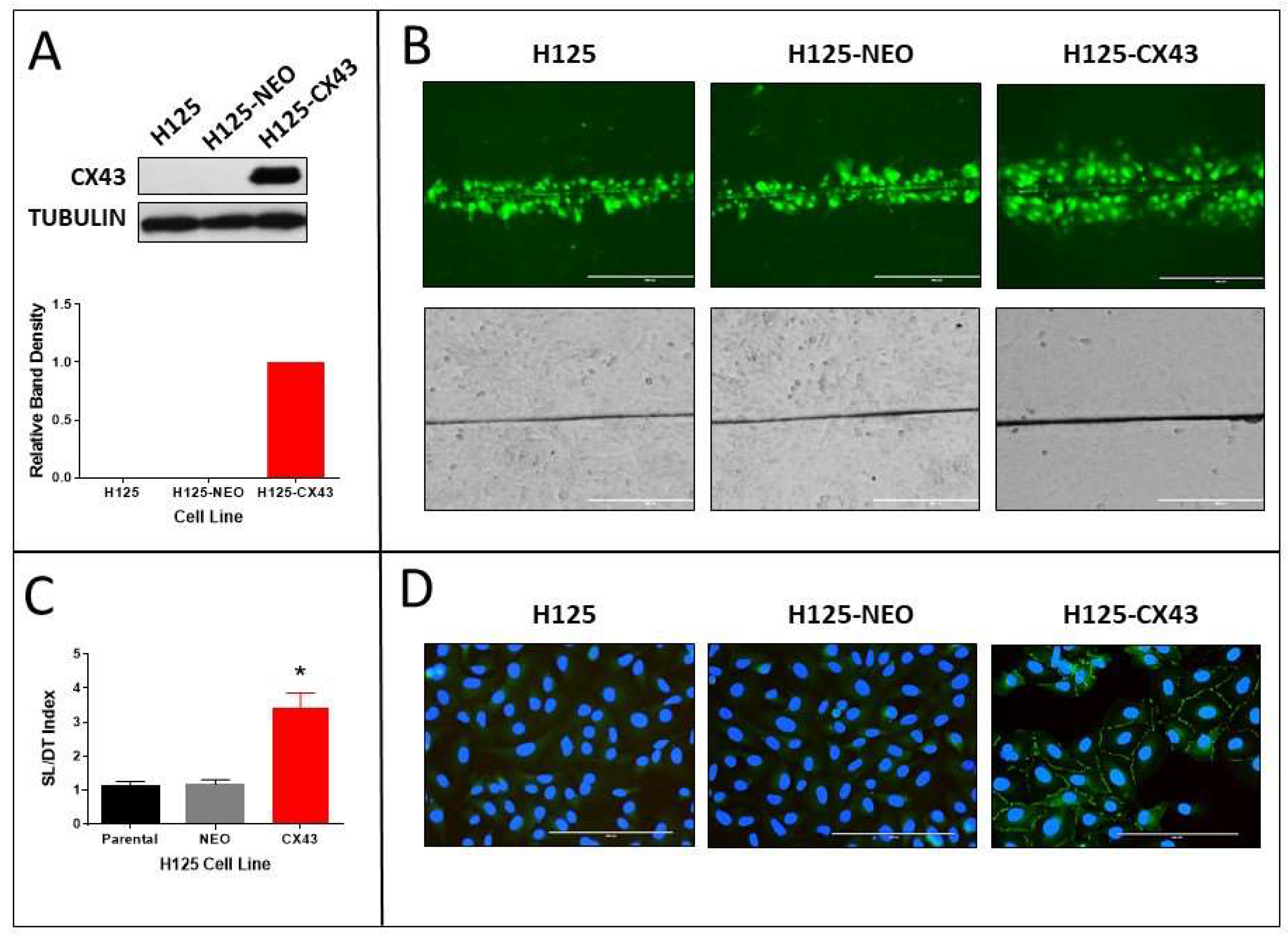 Cancers 11 00175 g001