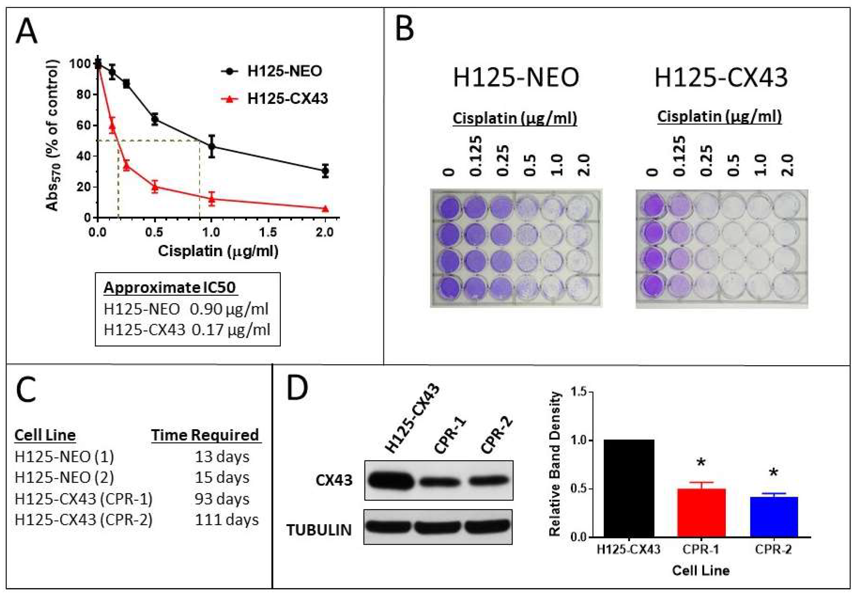 Cancers 11 00175 g005