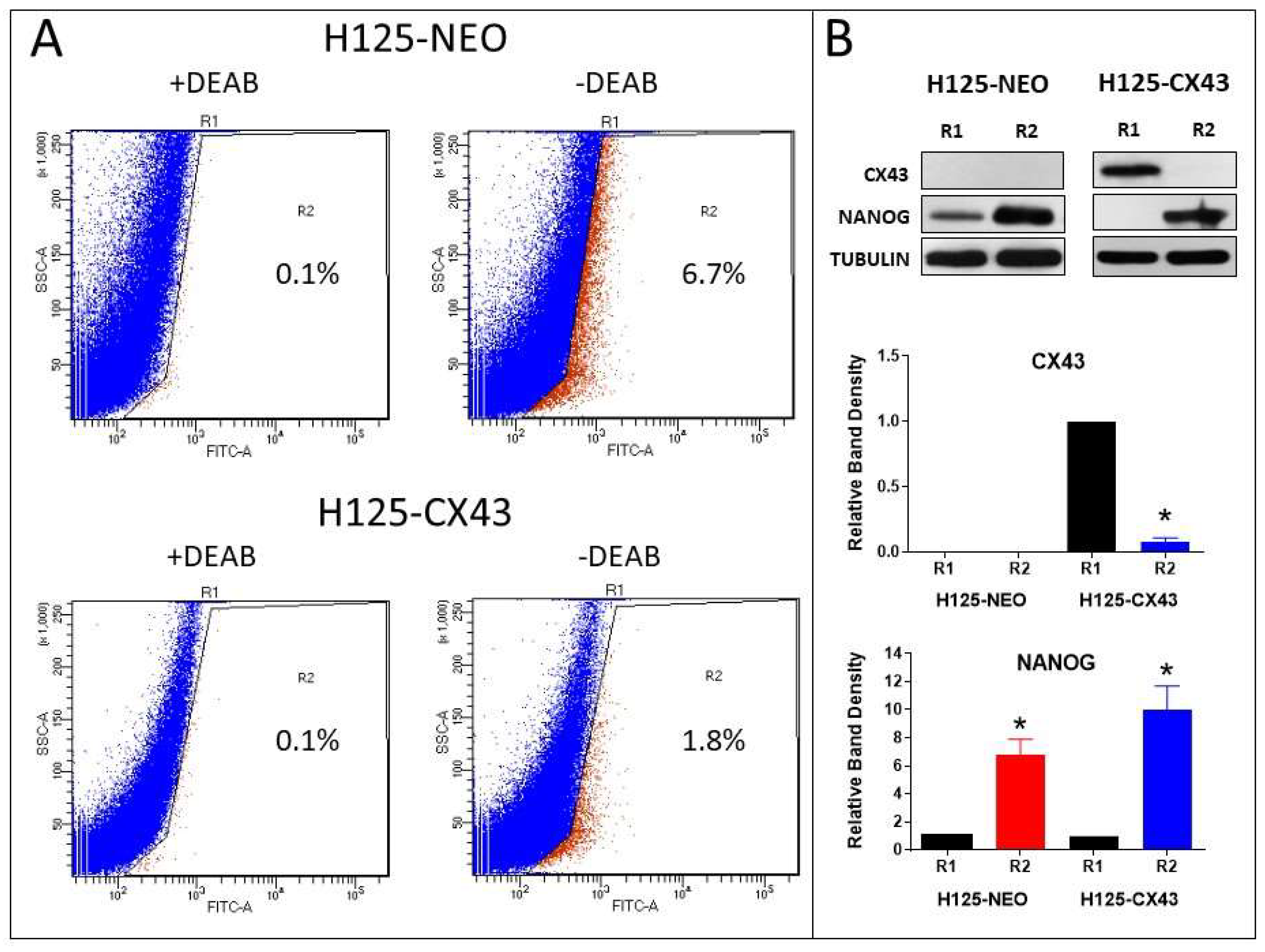 Cancers 11 00175 g007