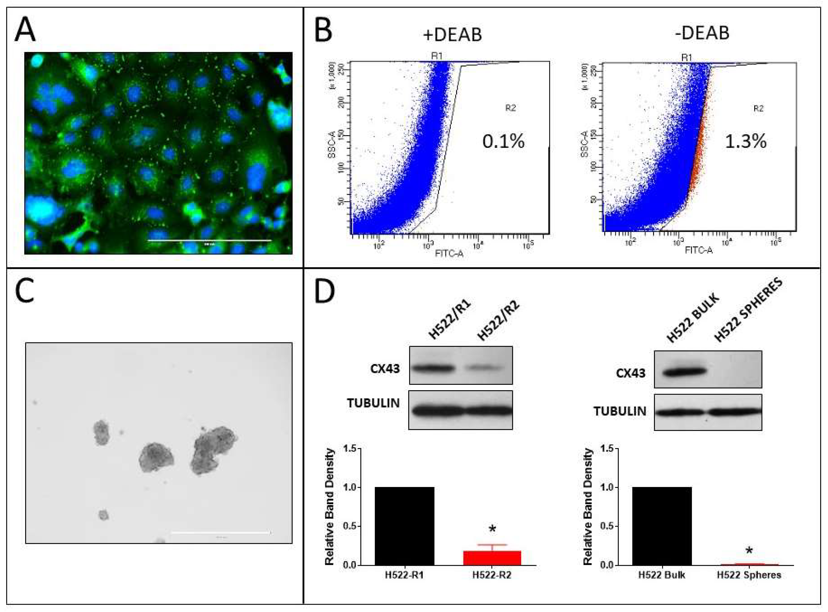 Cancers 11 00175 g008