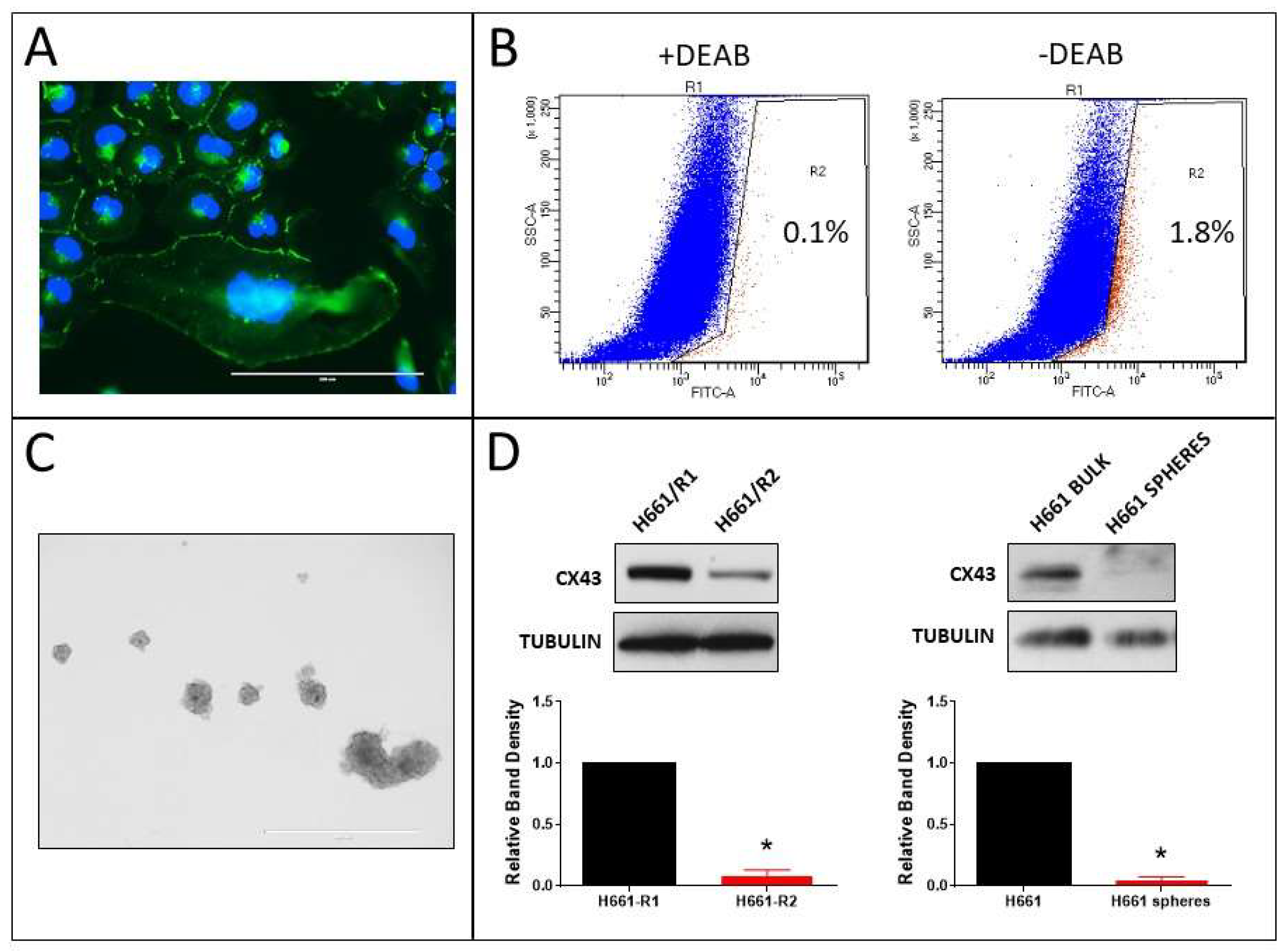 Cancers 11 00175 g009