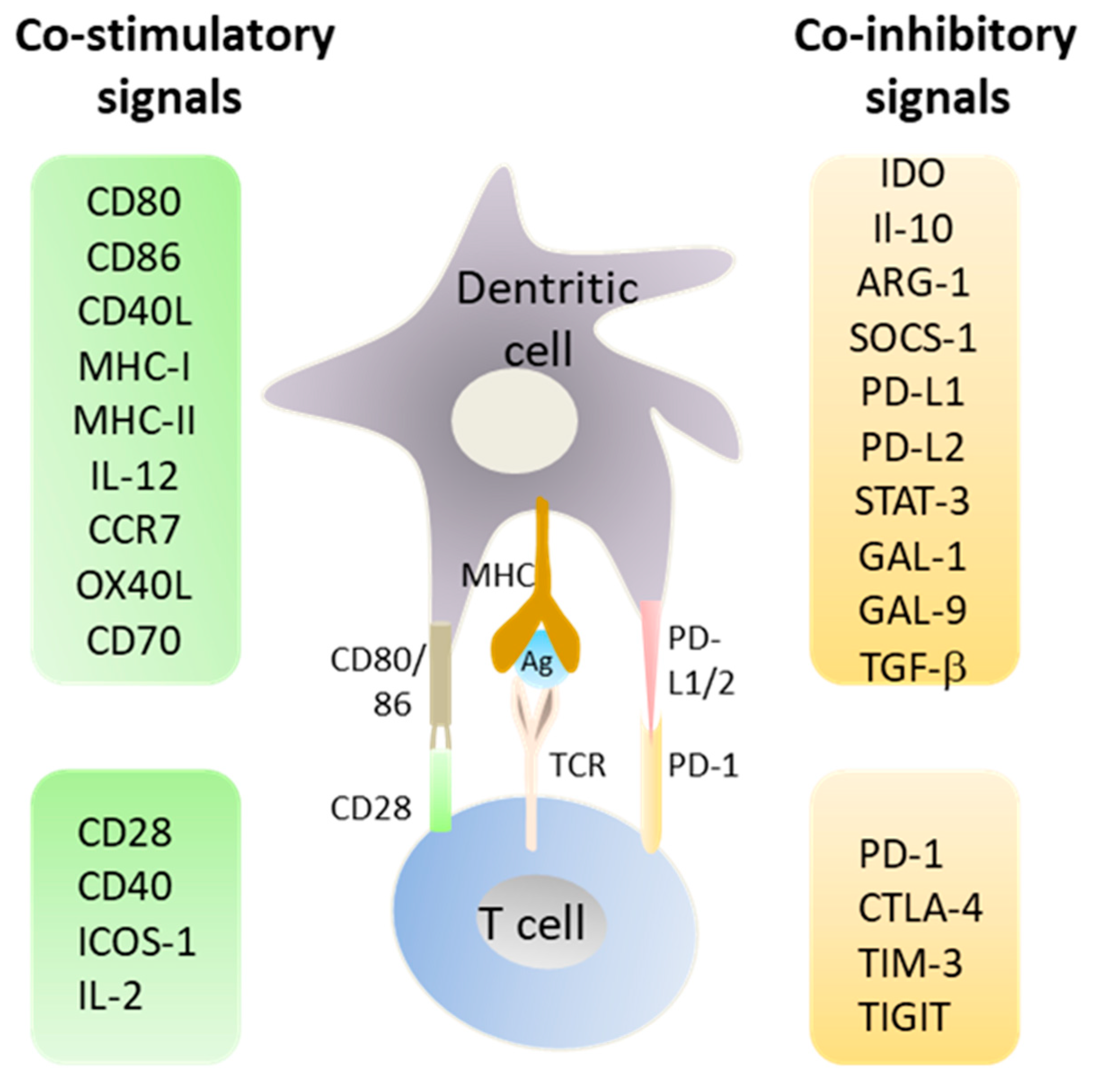 Cancers 11 00176 g001