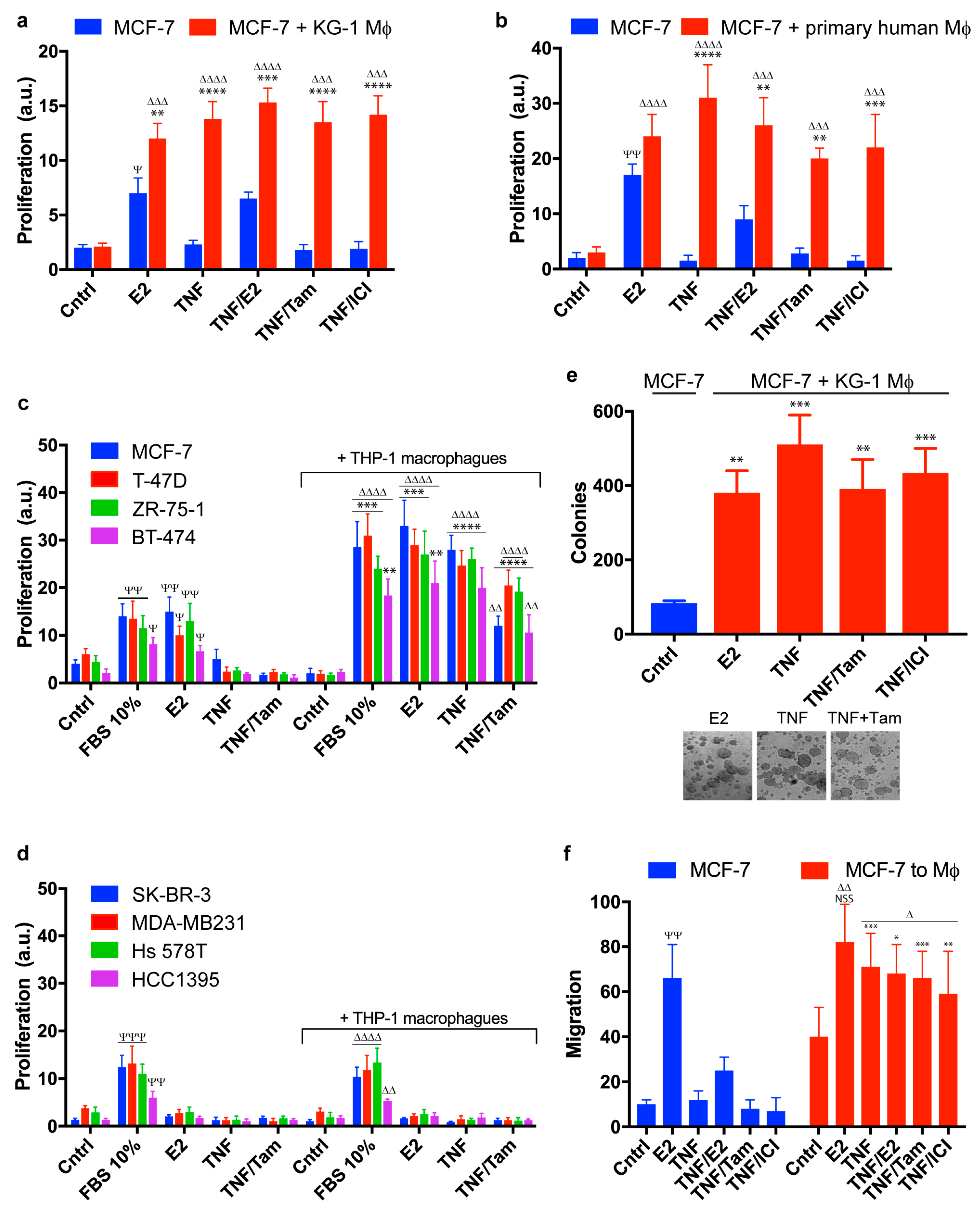 Cancers 11 00189 g001