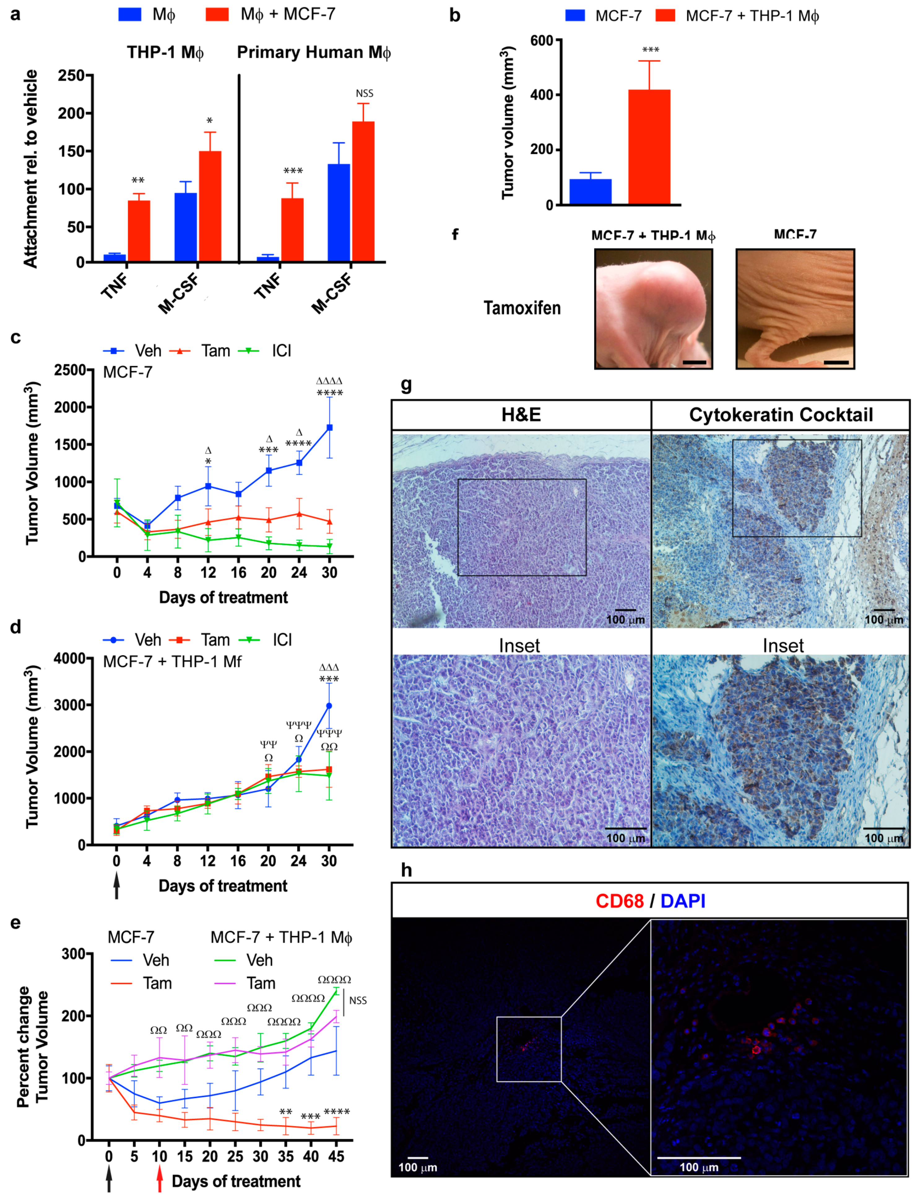 Cancers 11 00189 g002