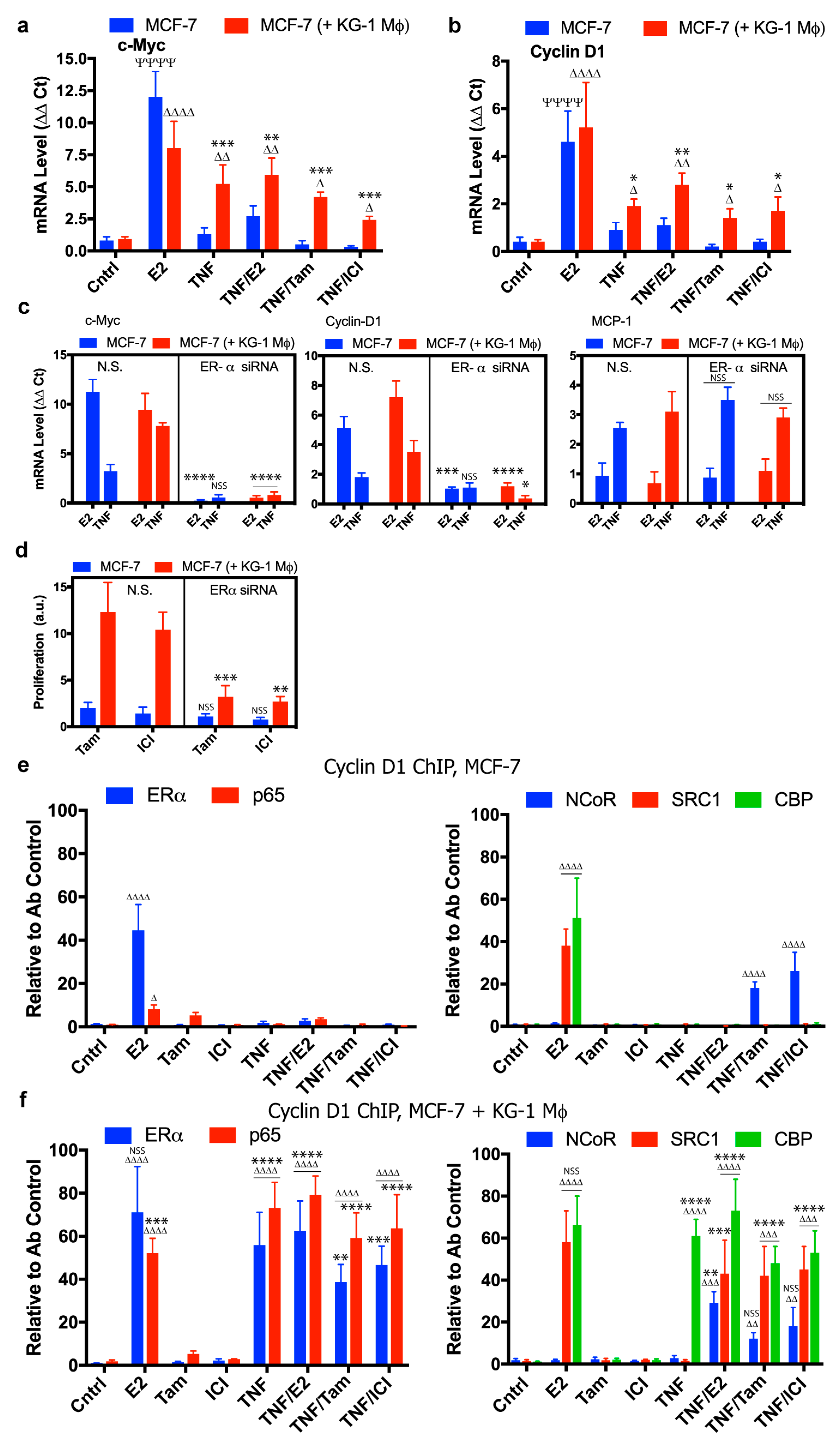 Cancers 11 00189 g003