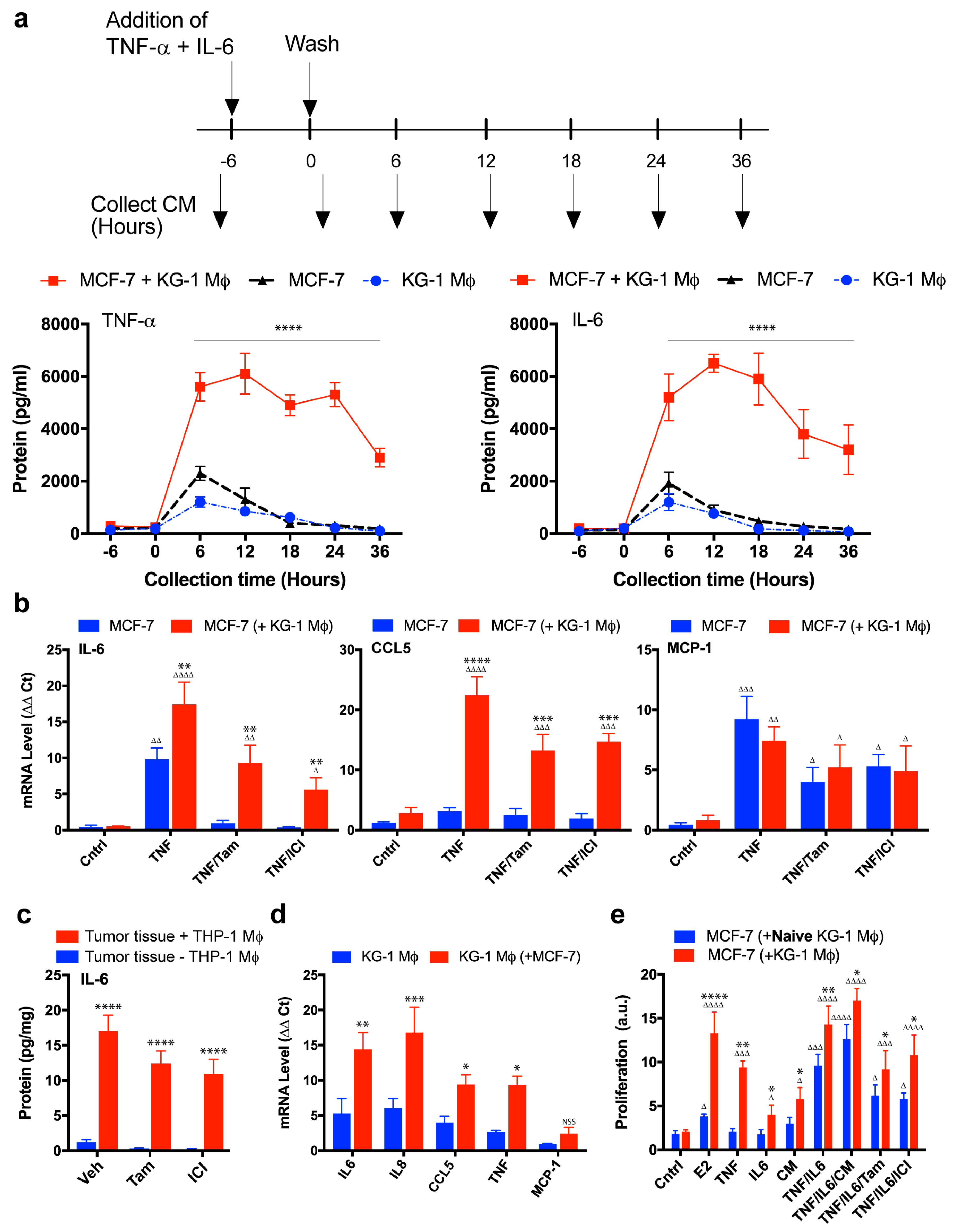 Cancers 11 00189 g005