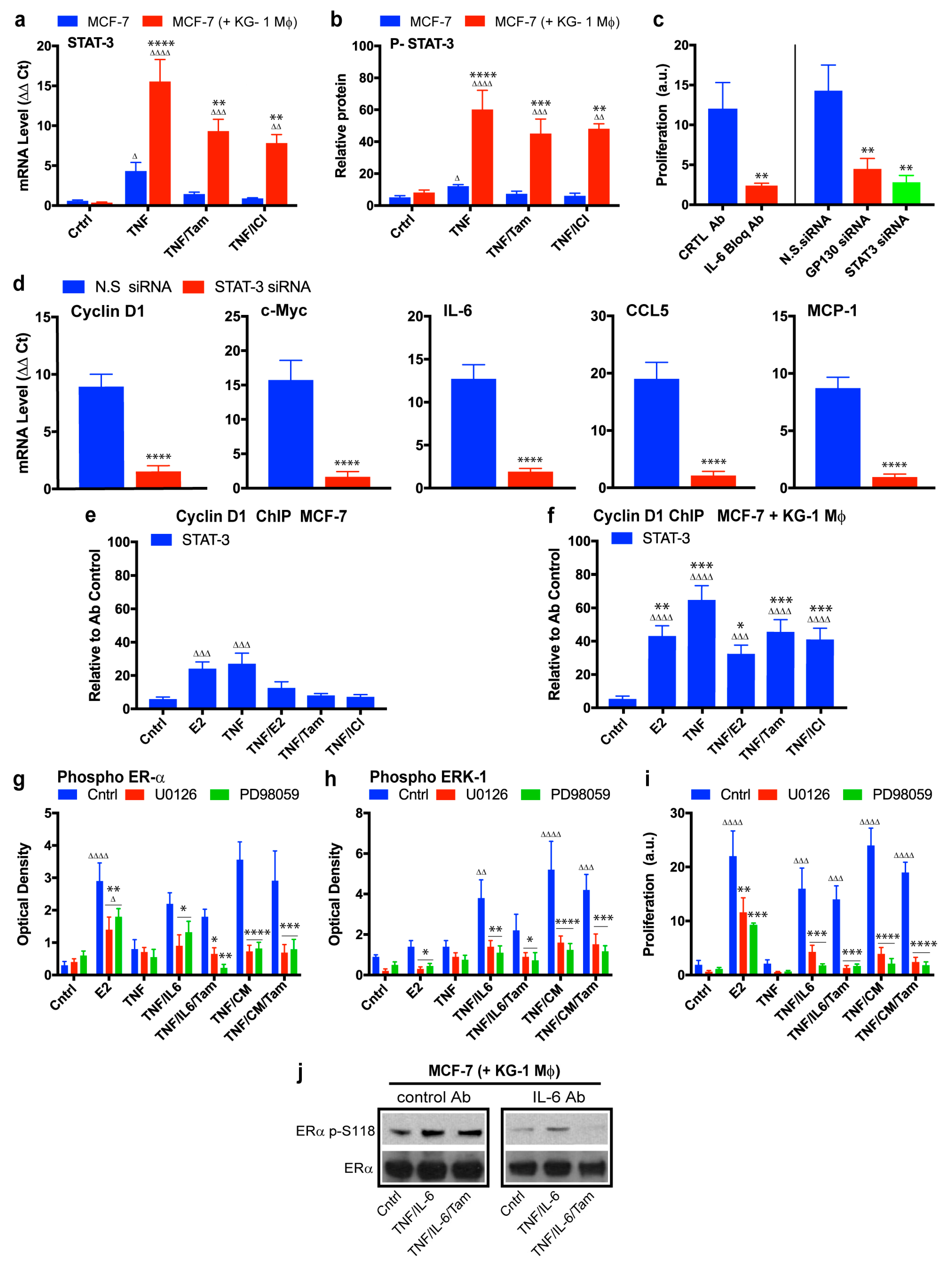 Cancers 11 00189 g006