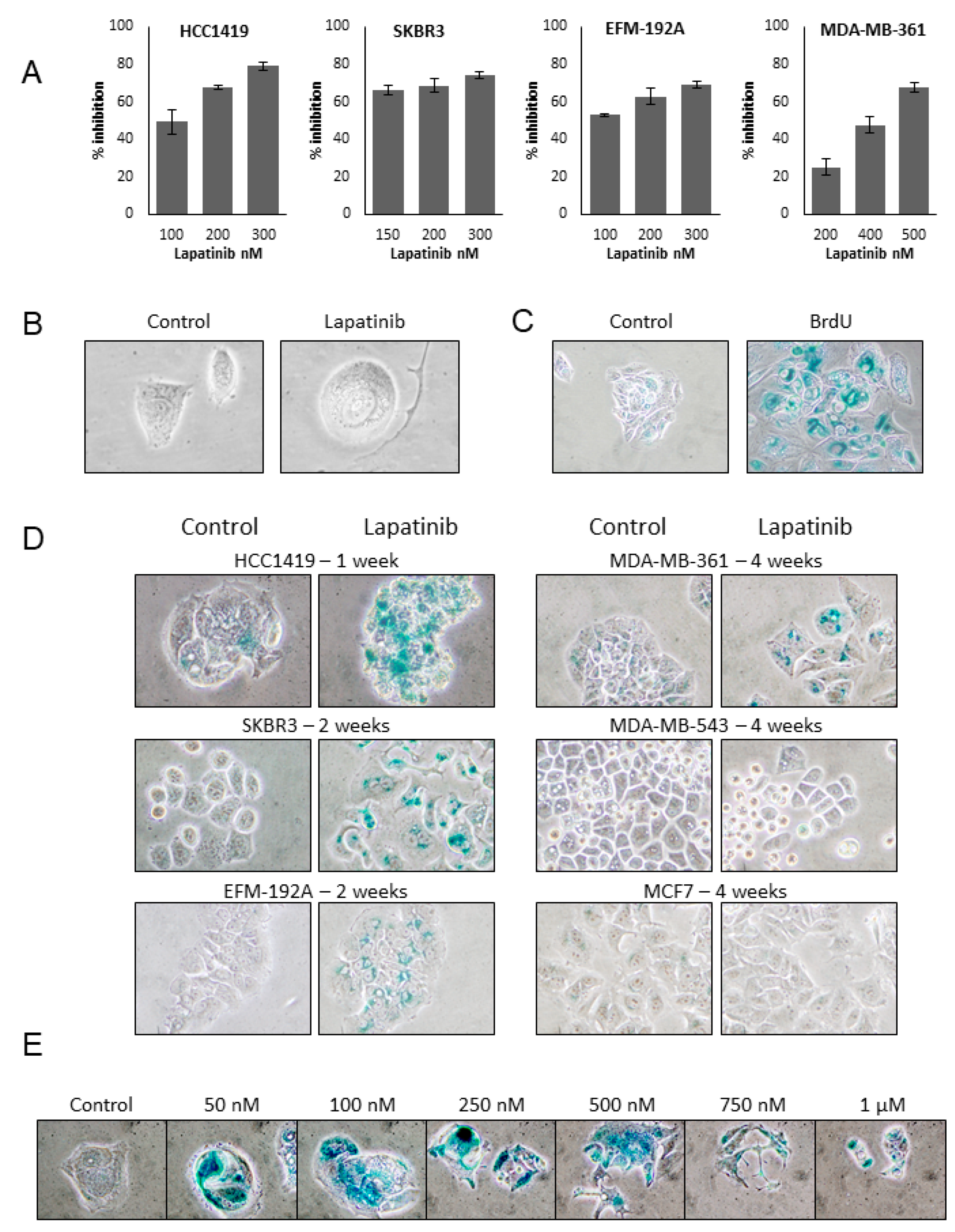 Cancers 11 00197 g001