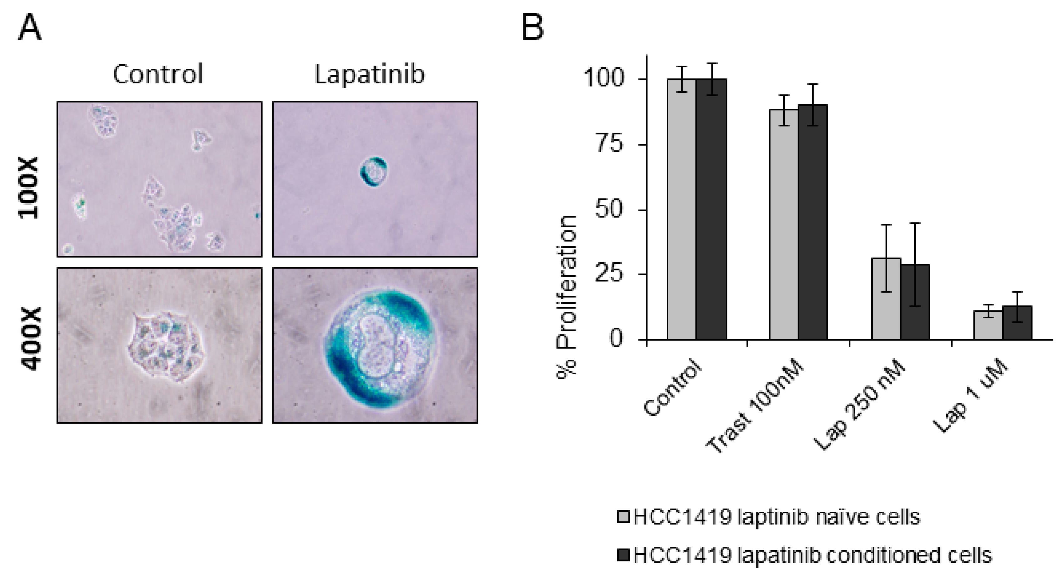 Cancers 11 00197 g006