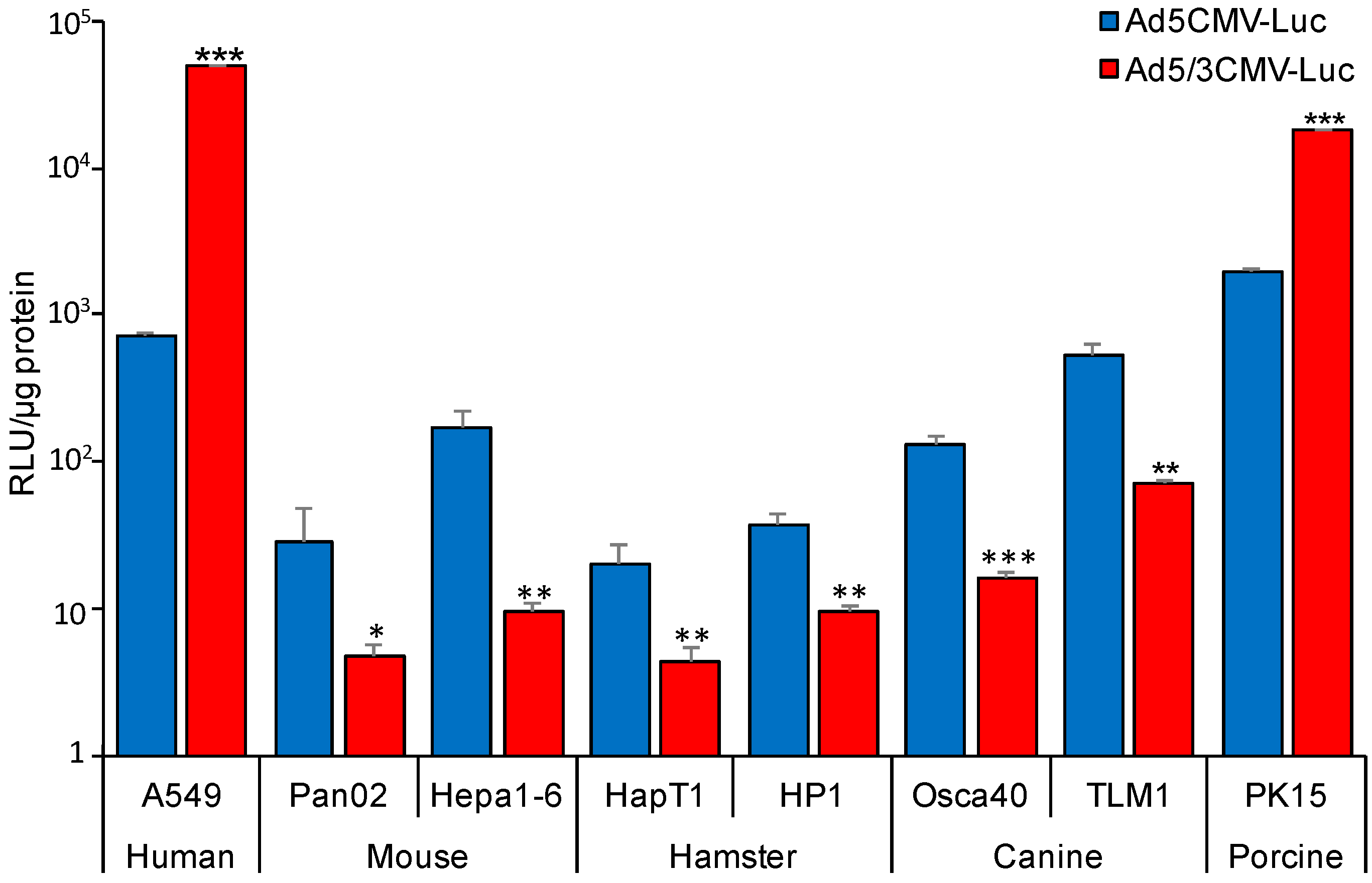 Cancers 11 00198 g002