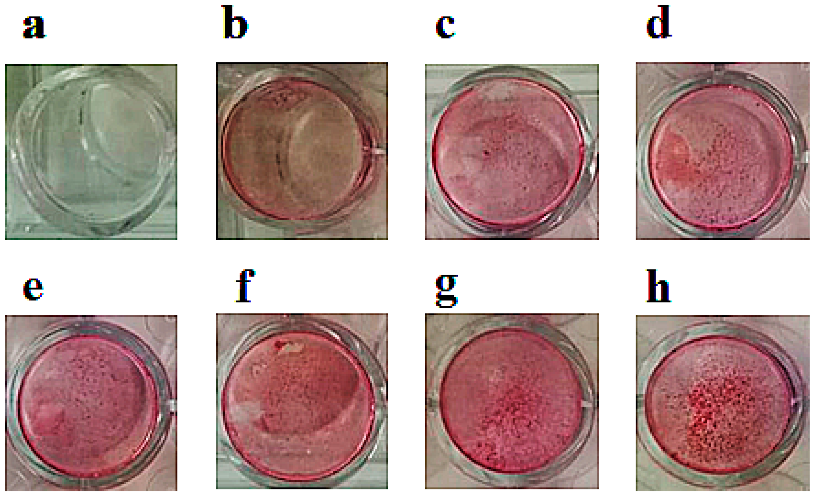 Cancers 11 00206 g003