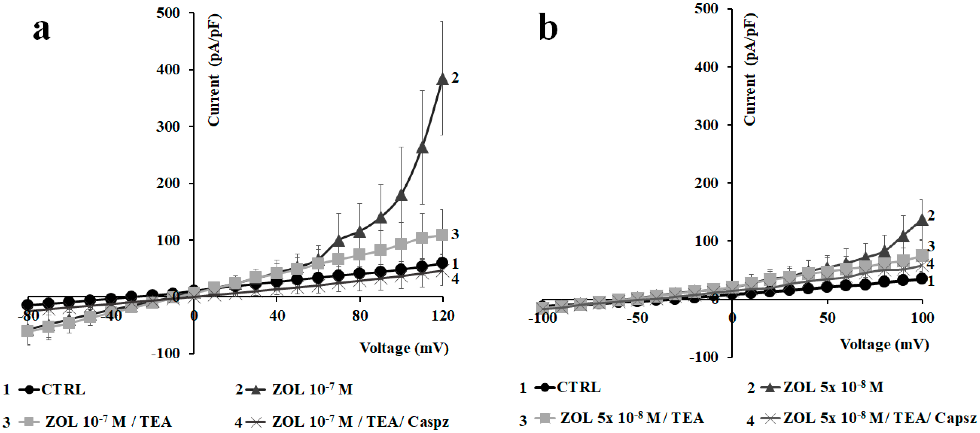 Cancers 11 00206 g006