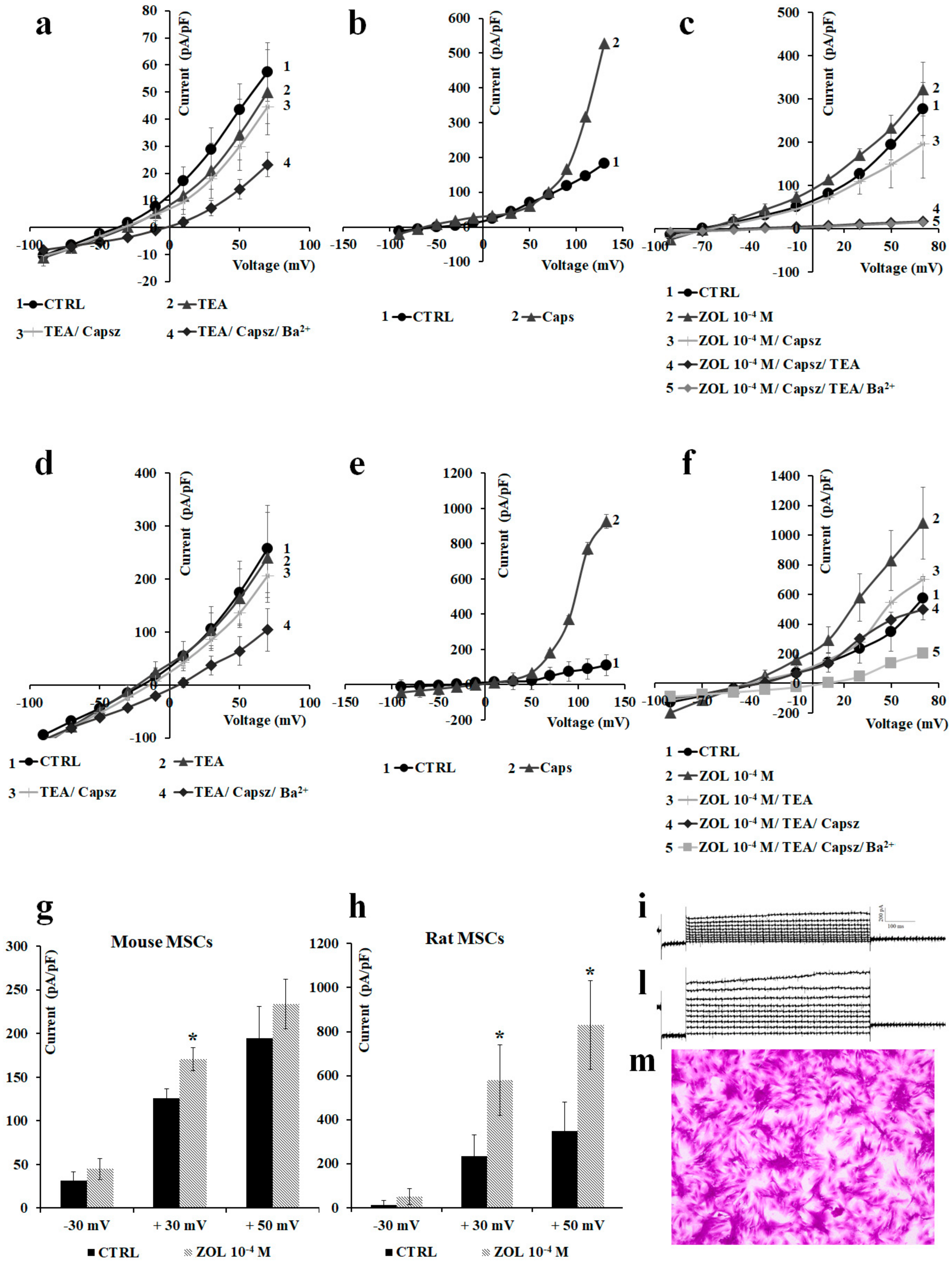 Cancers 11 00206 g007