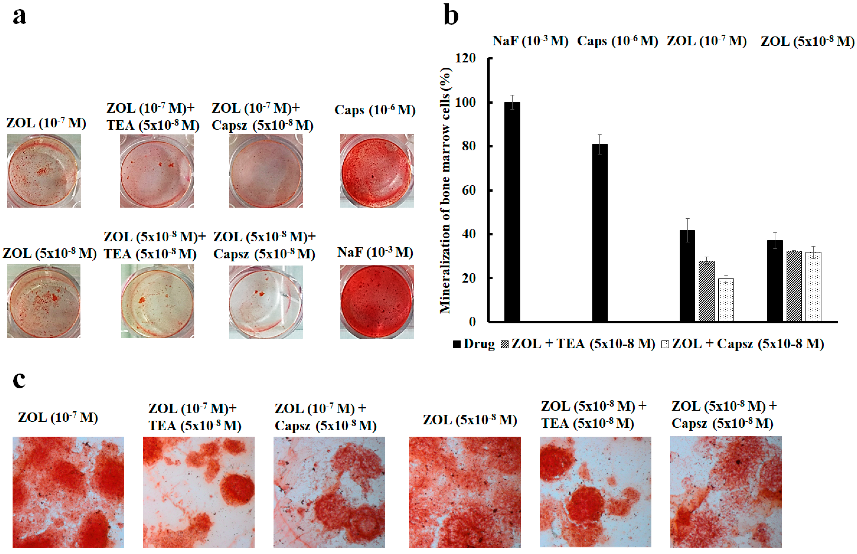 Cancers 11 00206 g008