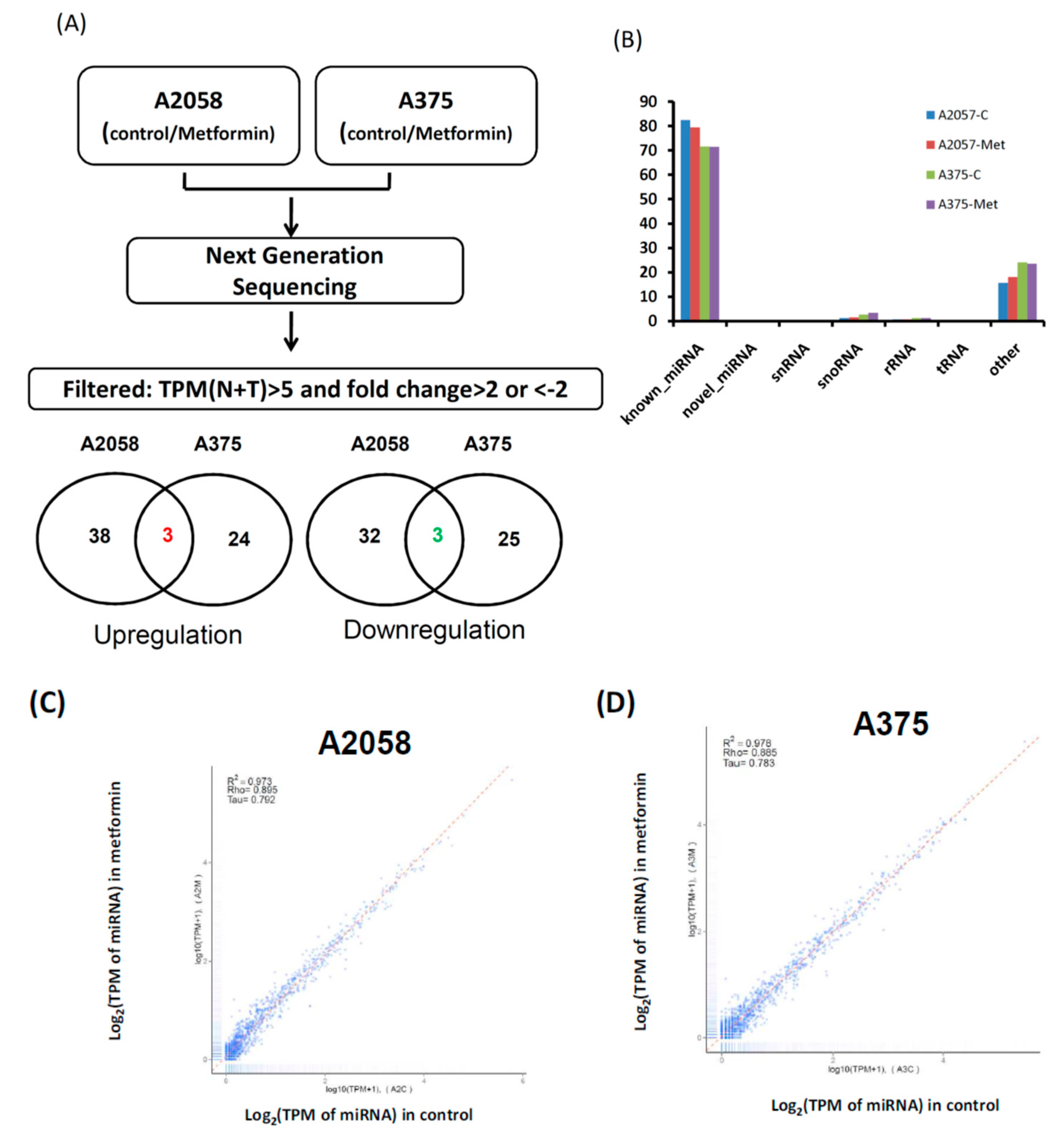 Cancers 11 00209 g003