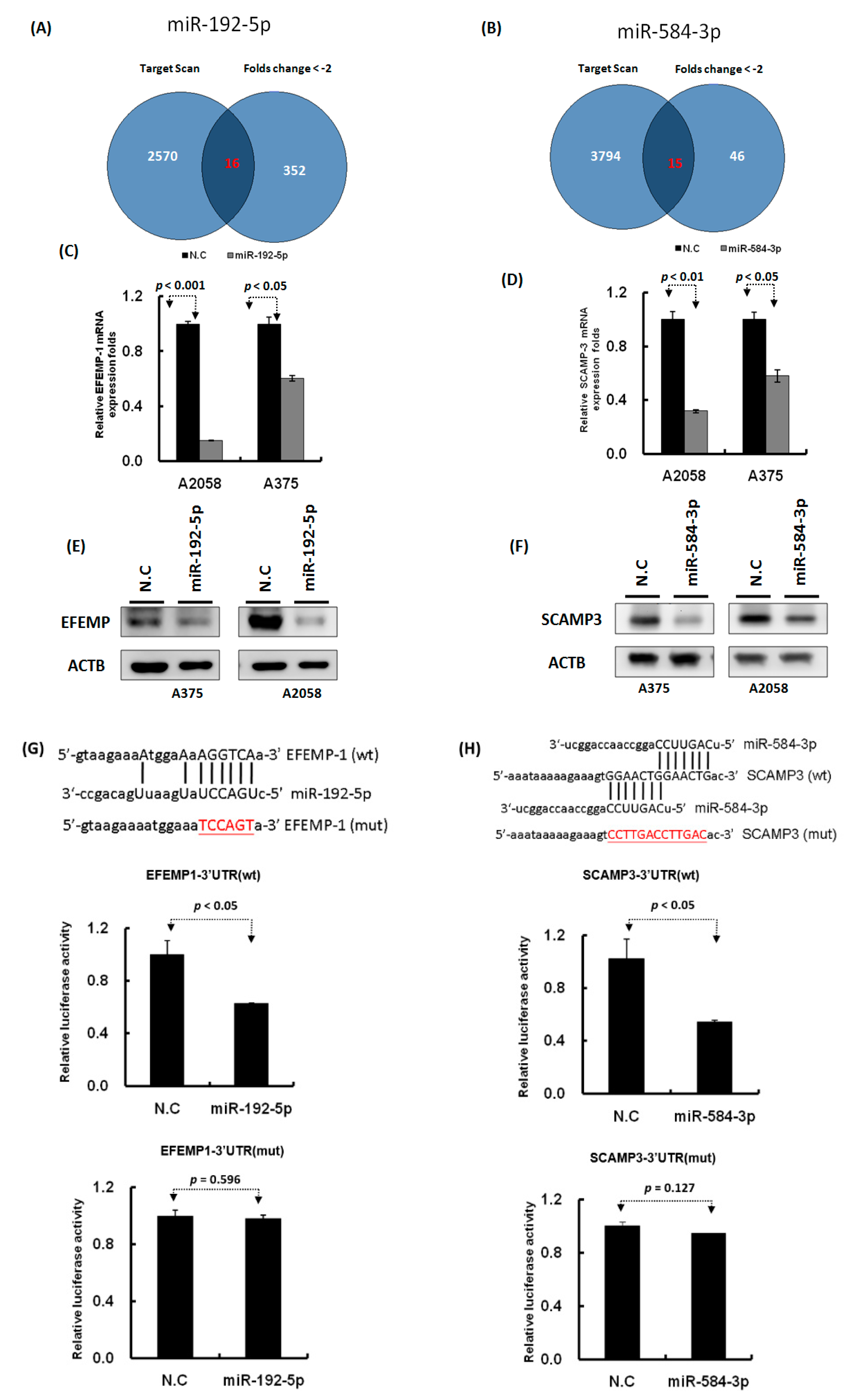 Cancers 11 00209 g007