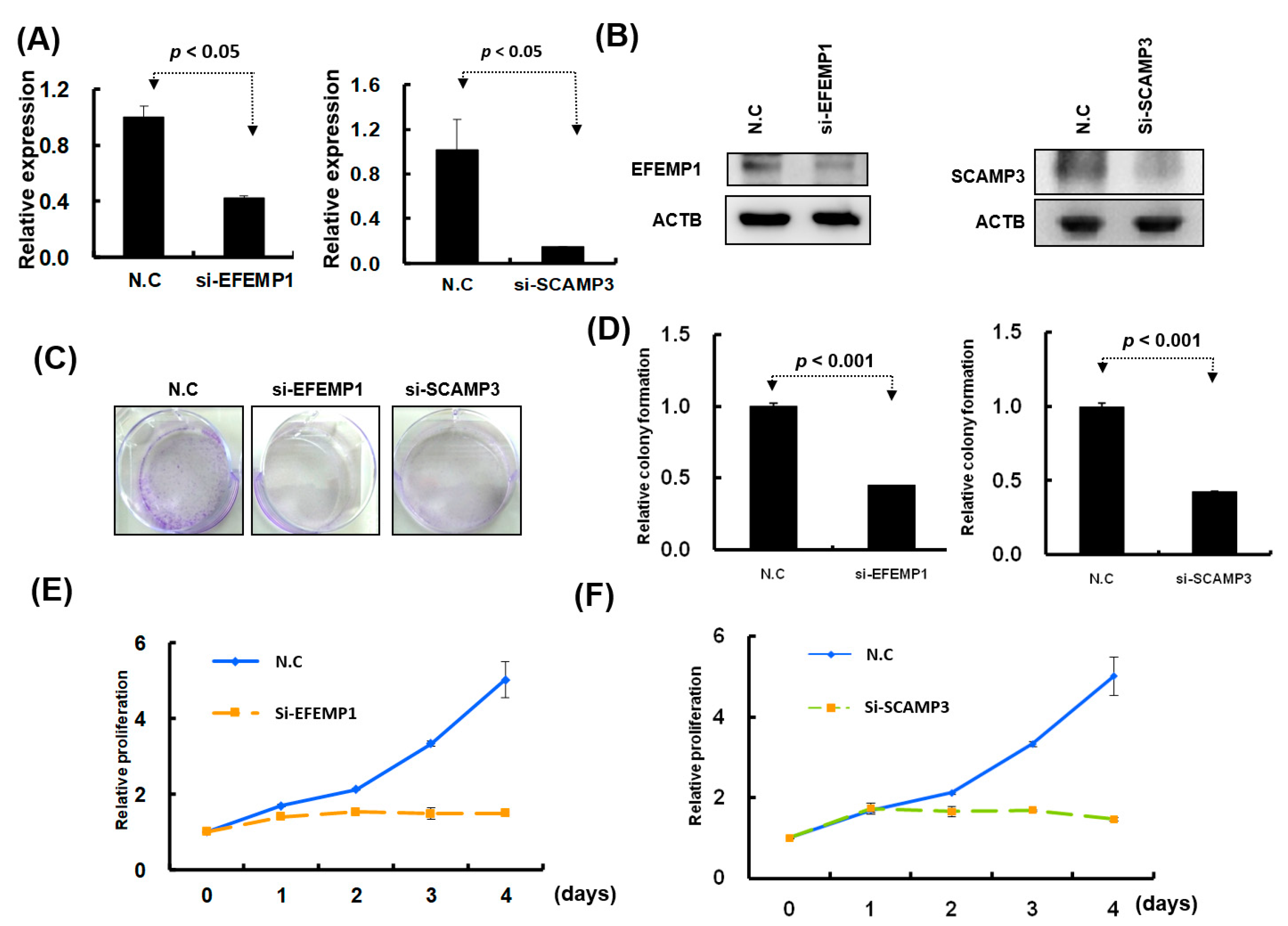 Cancers 11 00209 g008
