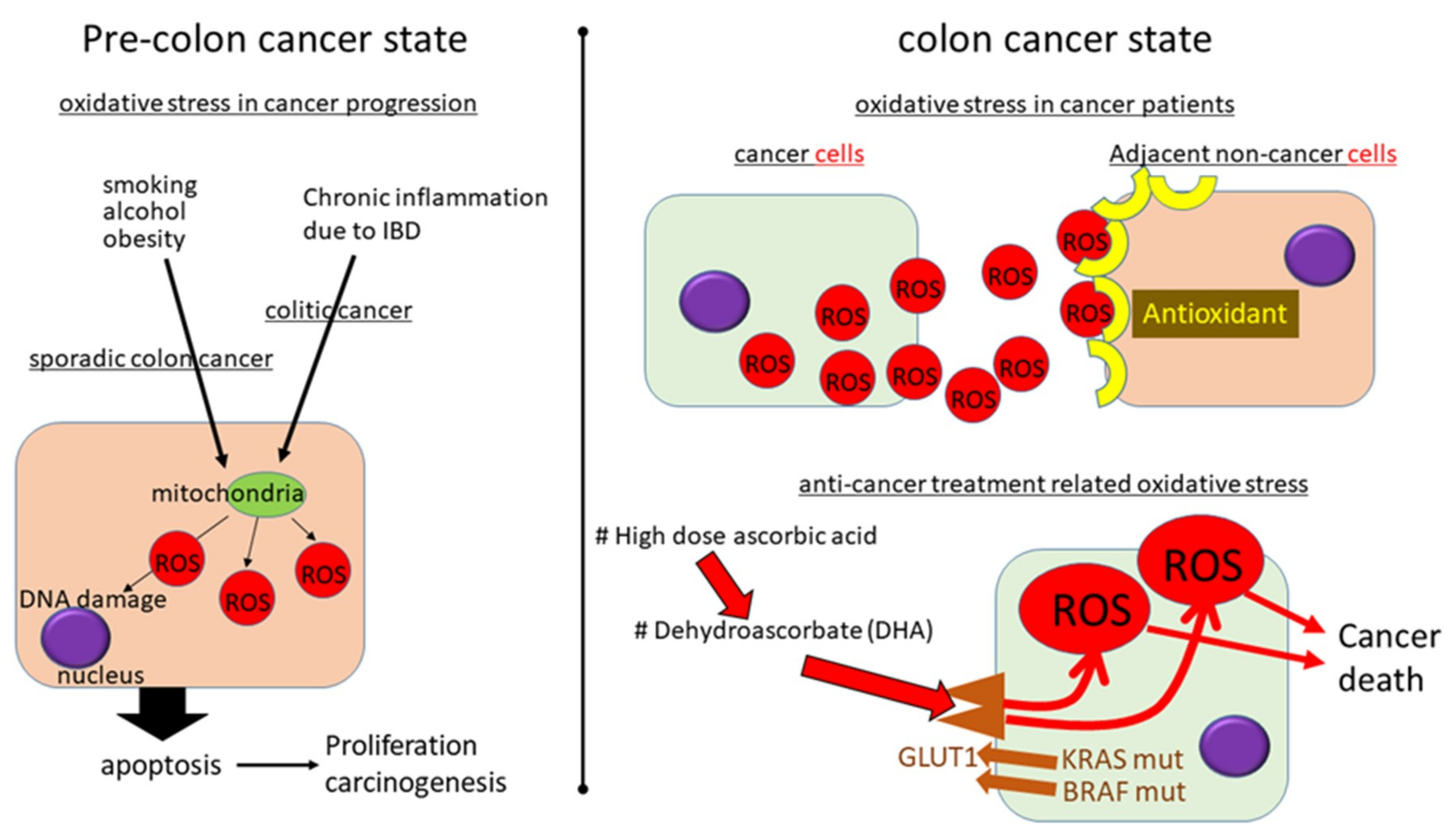 Cancers 11 00213 g002