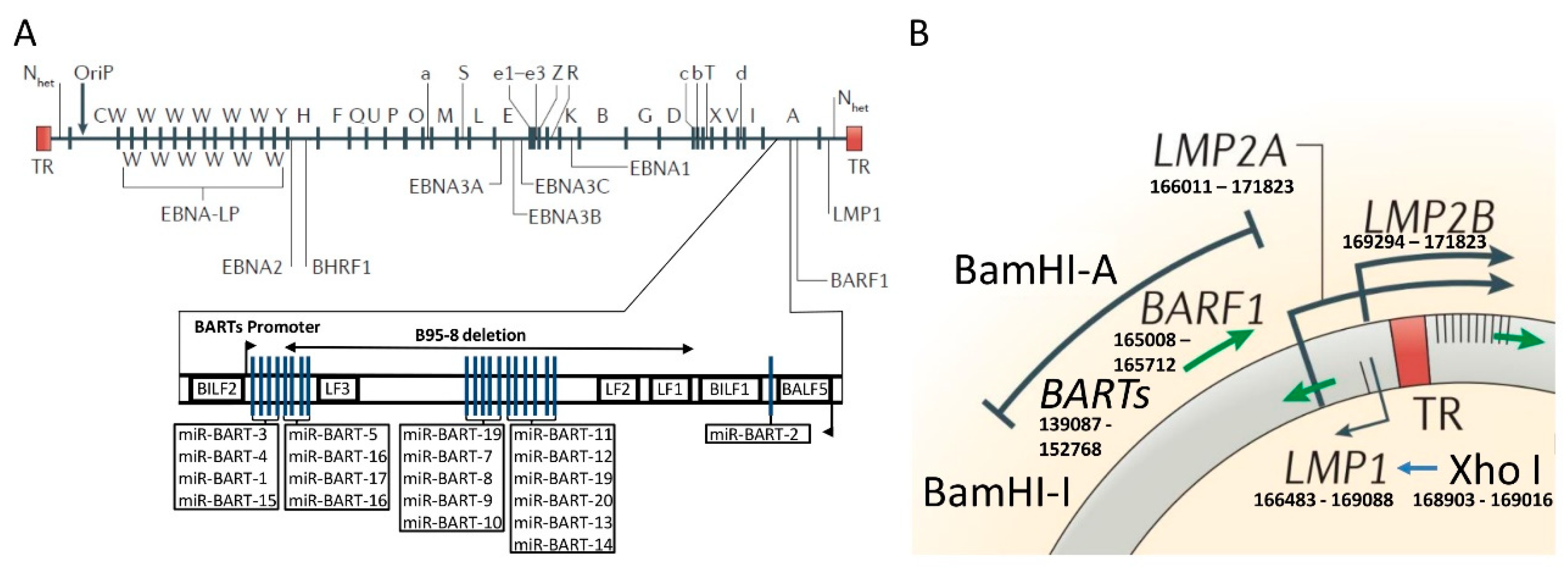 Cancers 11 00217 g001 Cancers 11 00217 g001