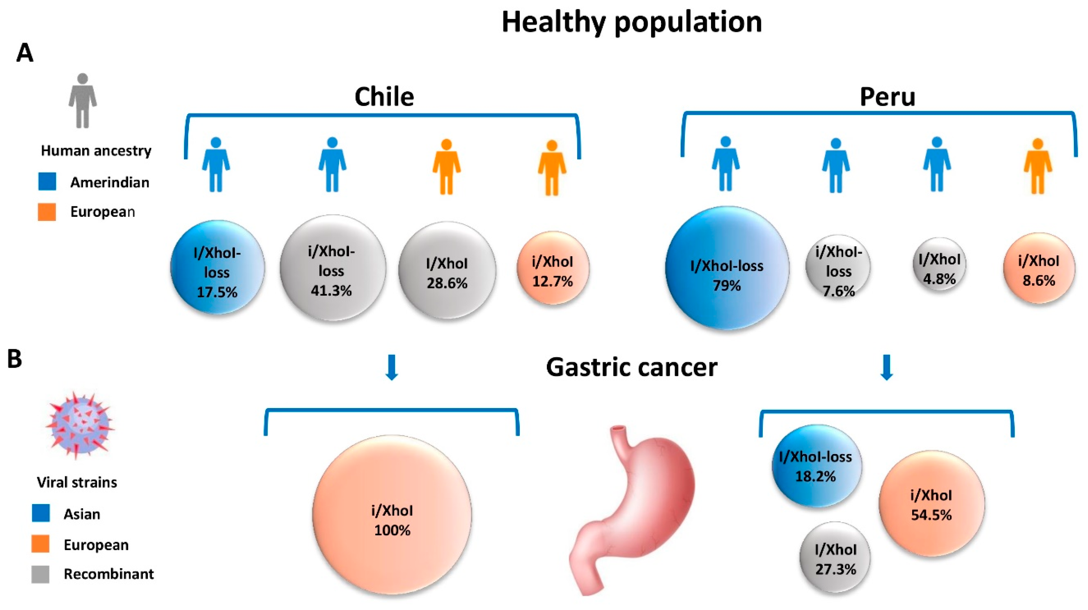 Cancers 11 00217 g002 Cancers 11 00217 g002