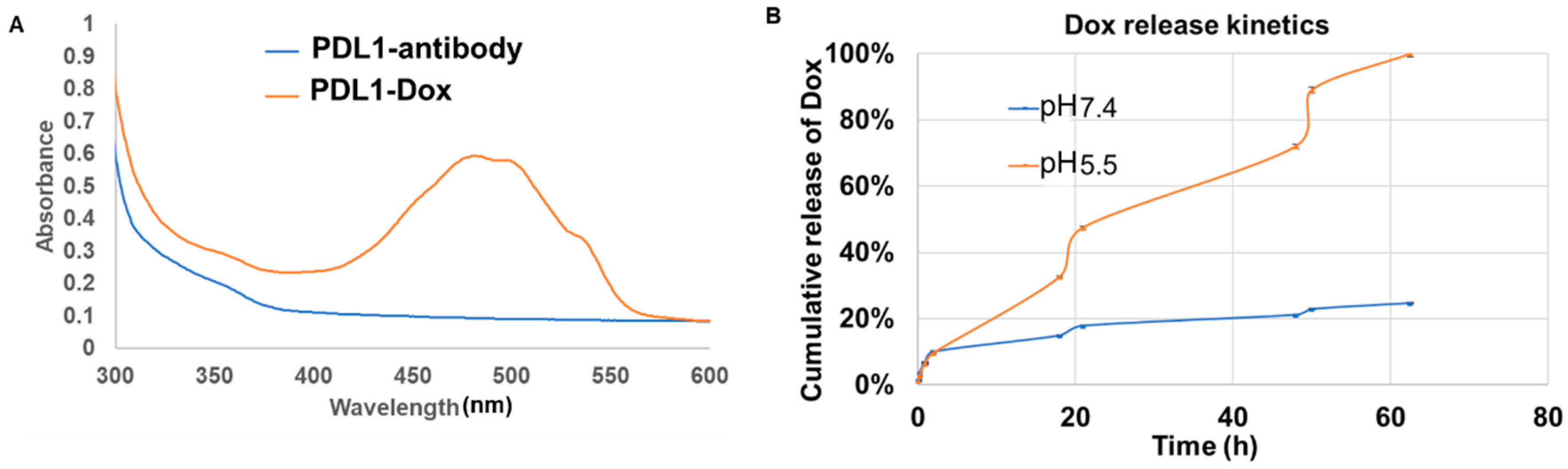 Cancers 11 00232 g002