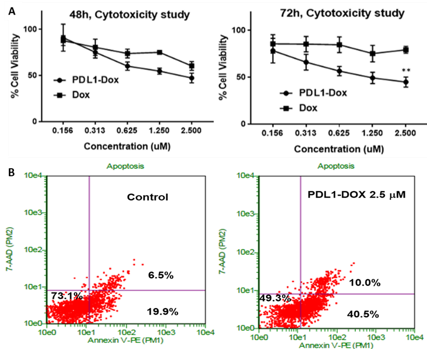 Cancers 11 00232 g003