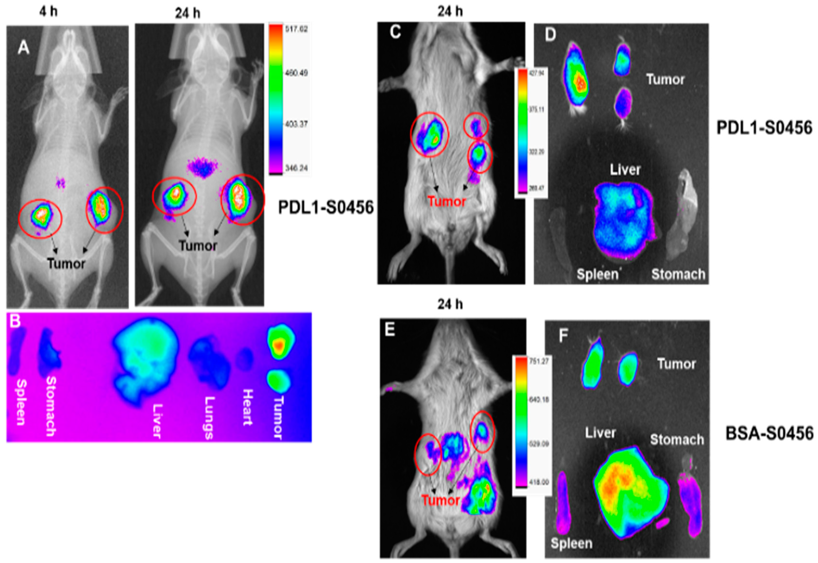 Cancers 11 00232 g005