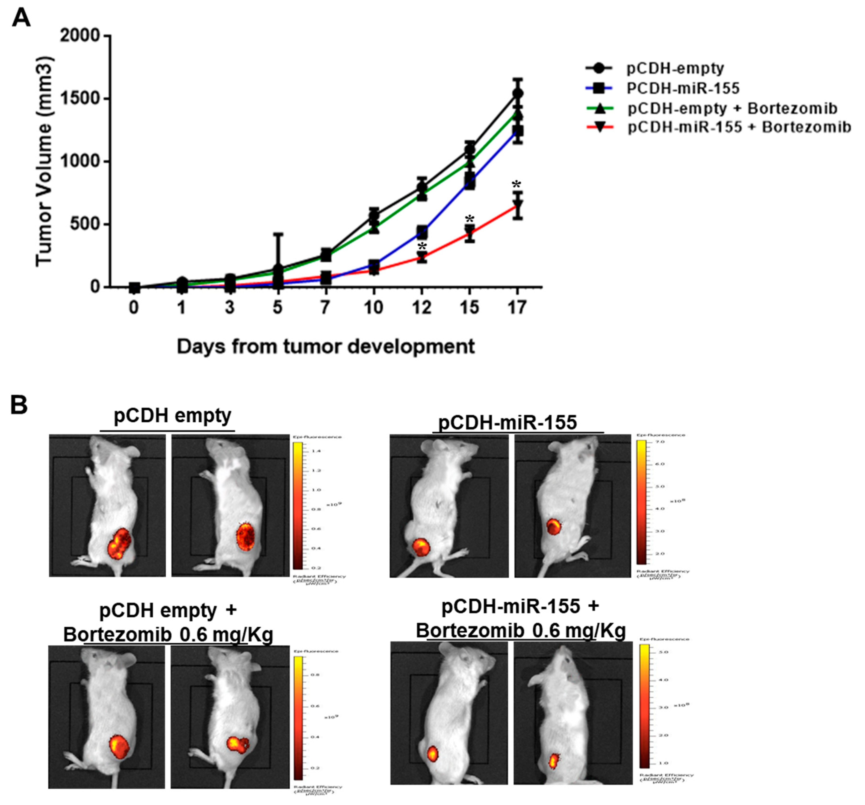 Cancers 11 00236 g004