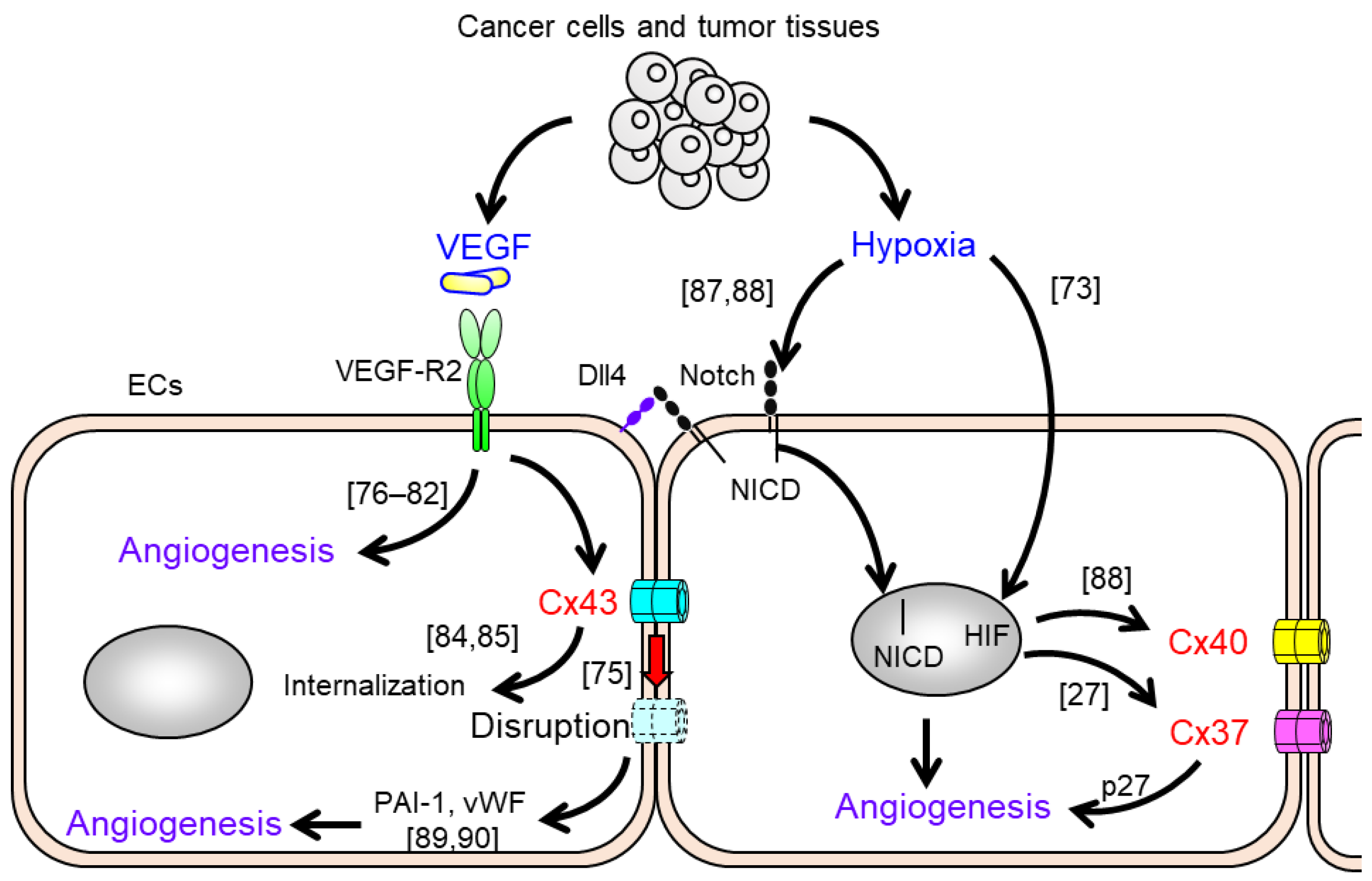 Cancers 11 00237 g001
