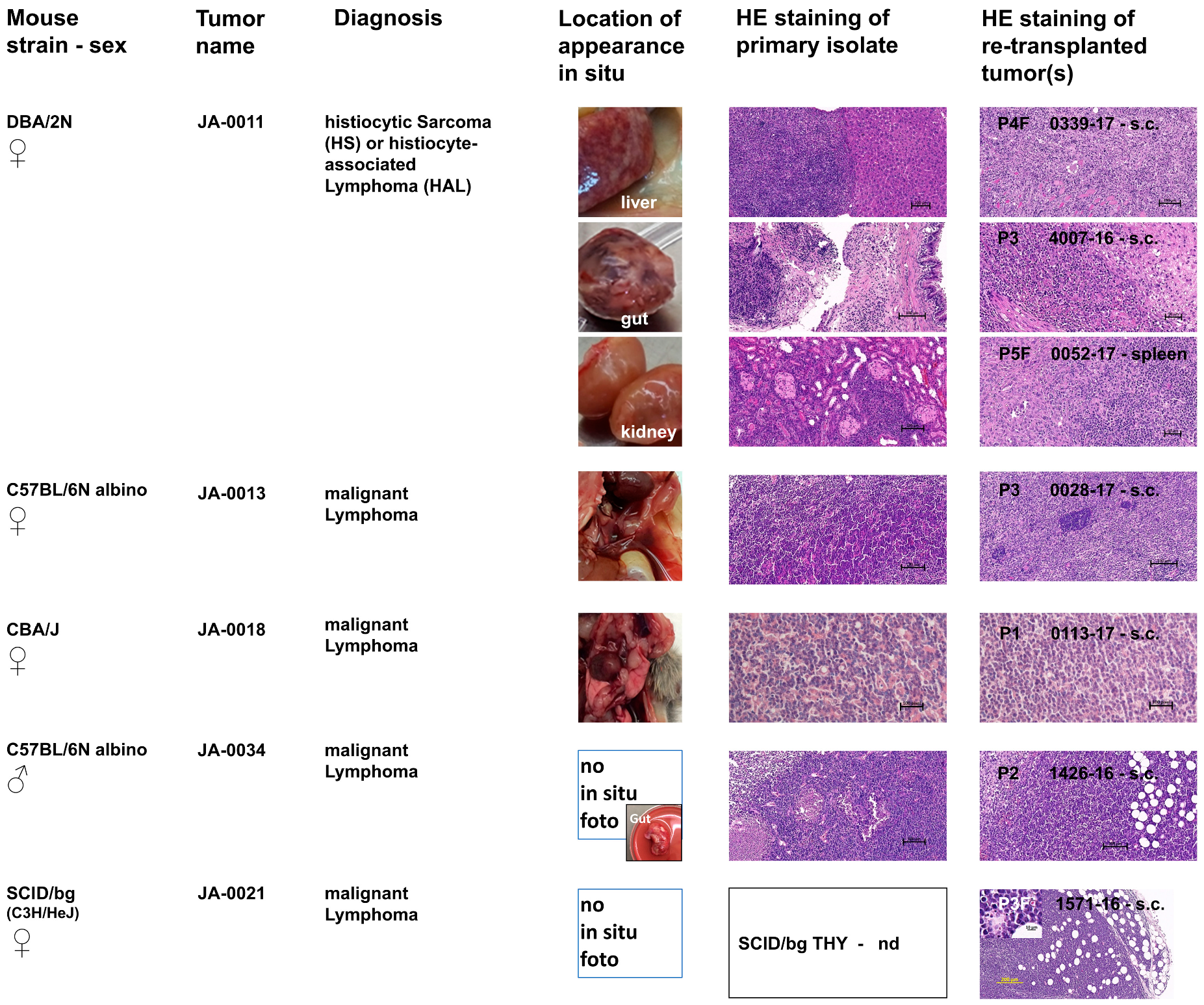 Cancers 11 00244 g002