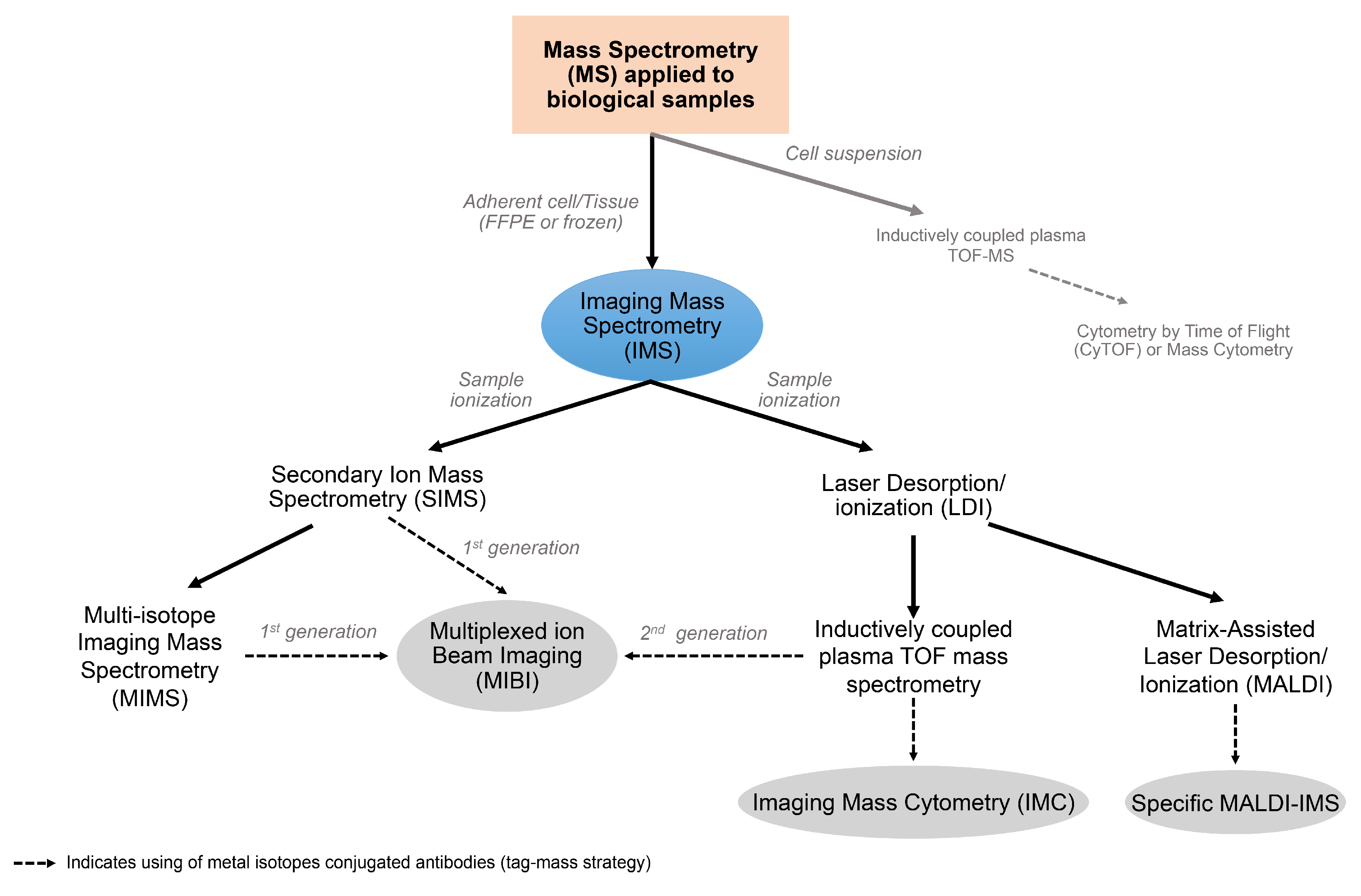 Cancers 11 00247 g002