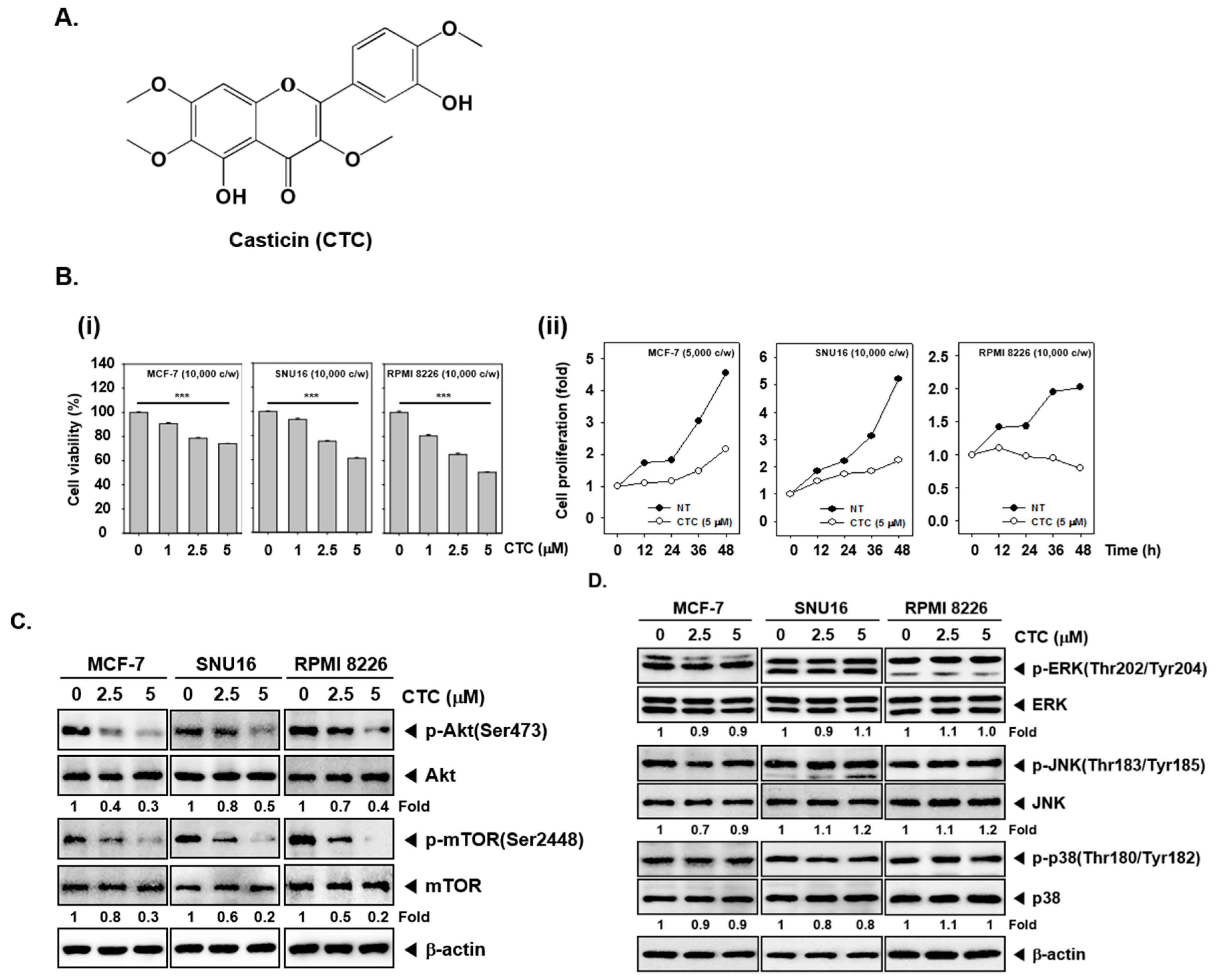 Cancers 11 00254 g001