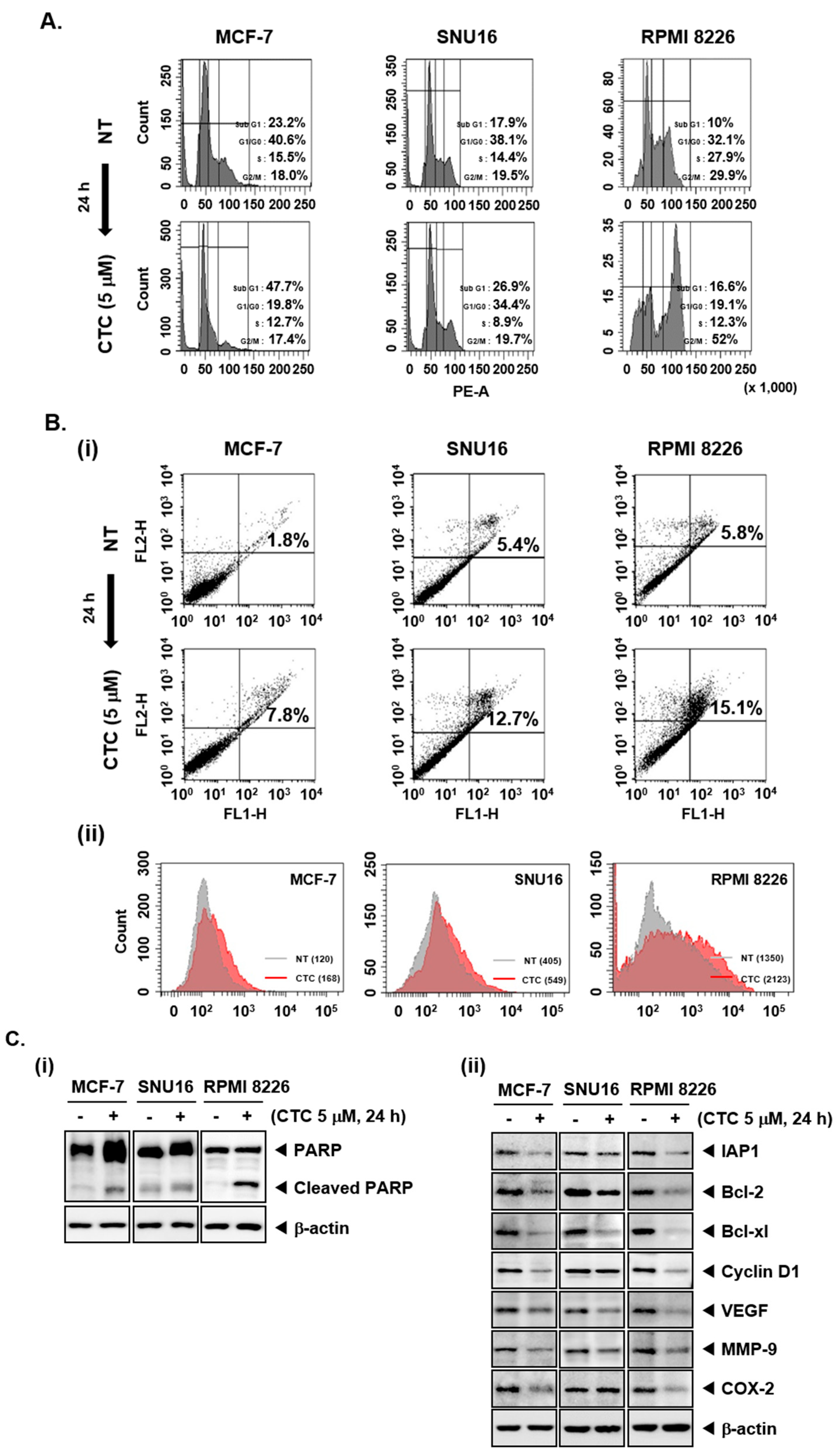 Cancers 11 00254 g002