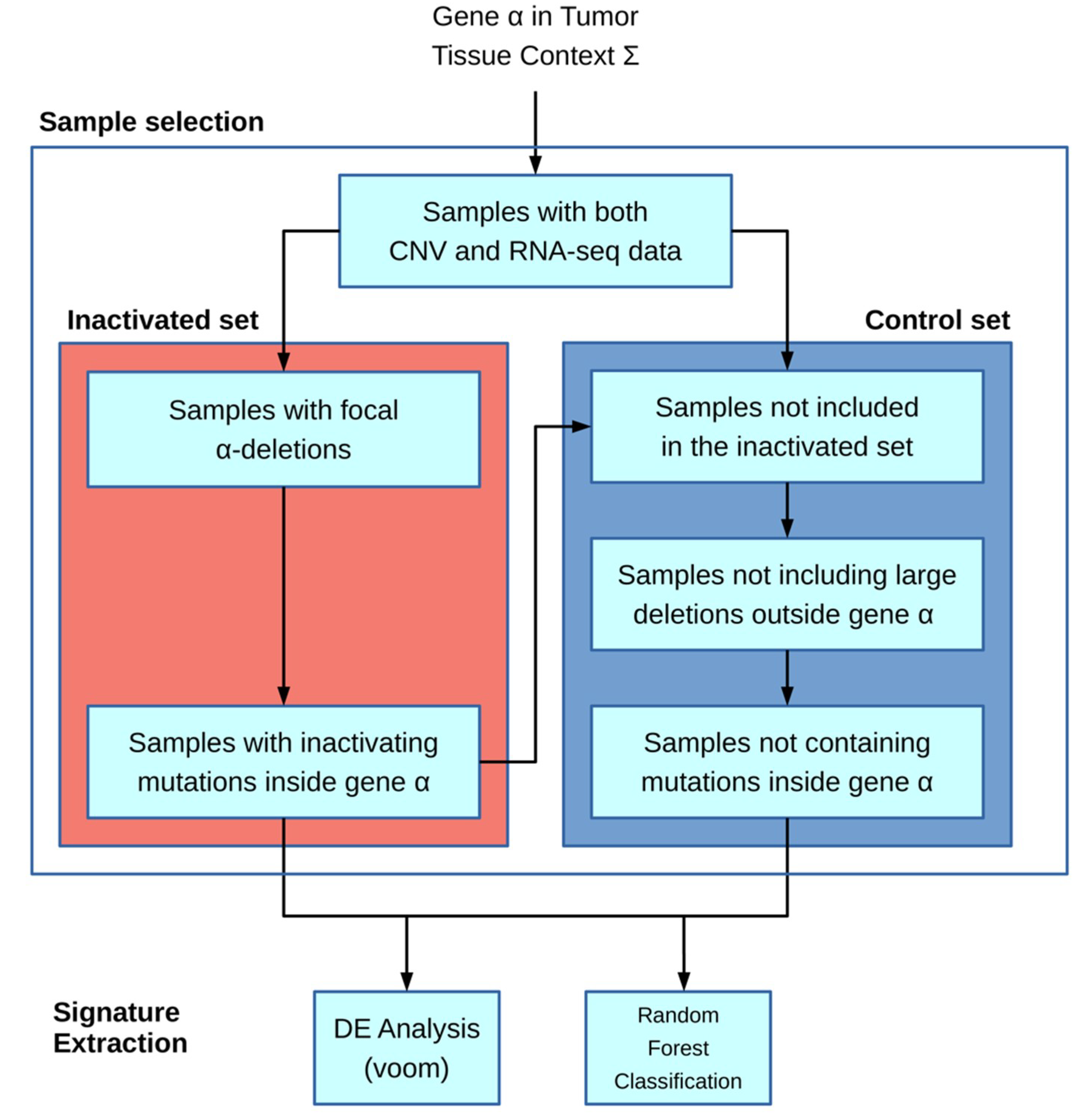 Cancers 11 00256 g001 Cancers 11 00256 g001