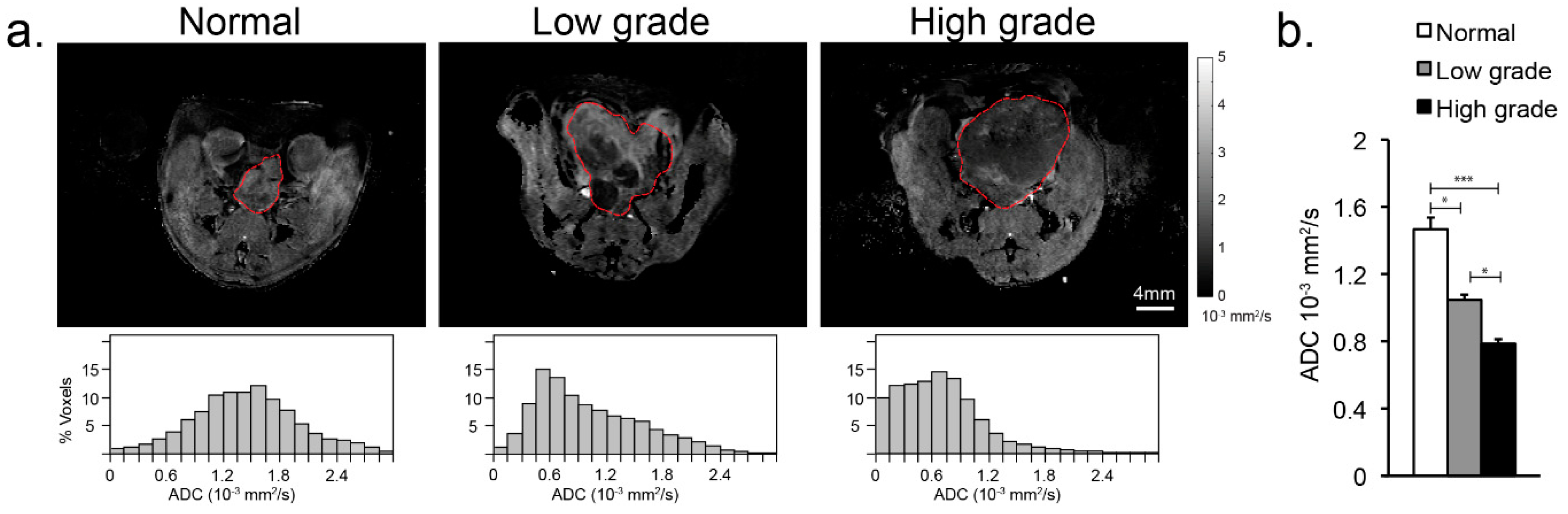 Cancers 11 00257 g002