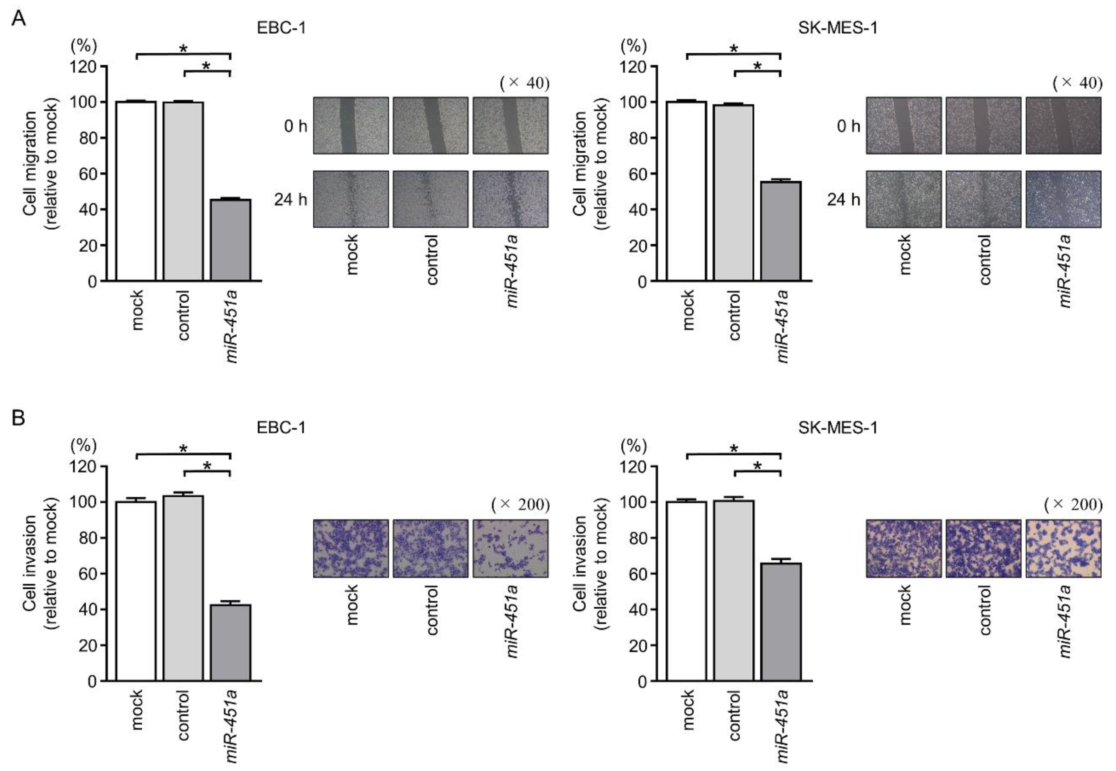 Cancers 11 00258 g004