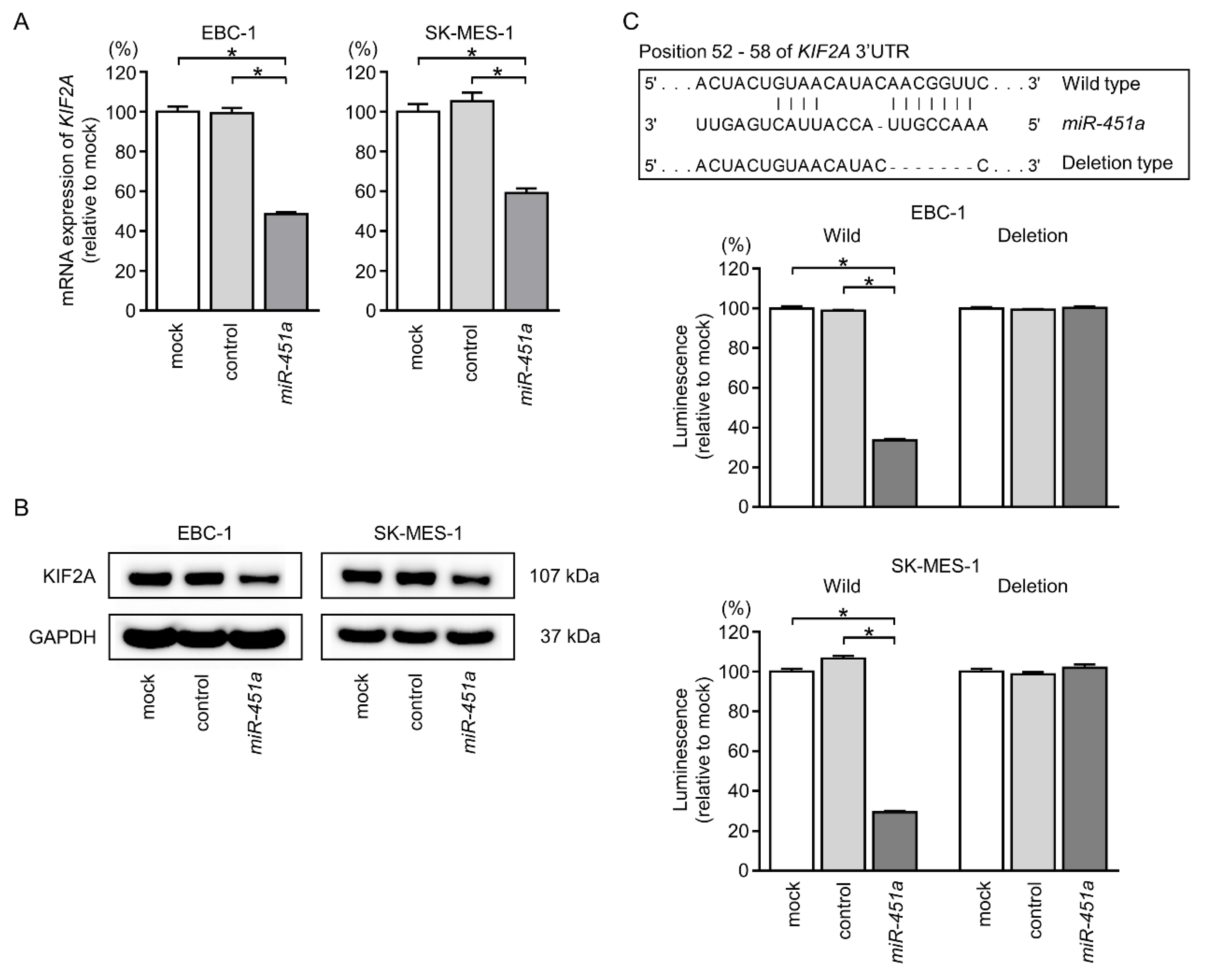 Cancers 11 00258 g006