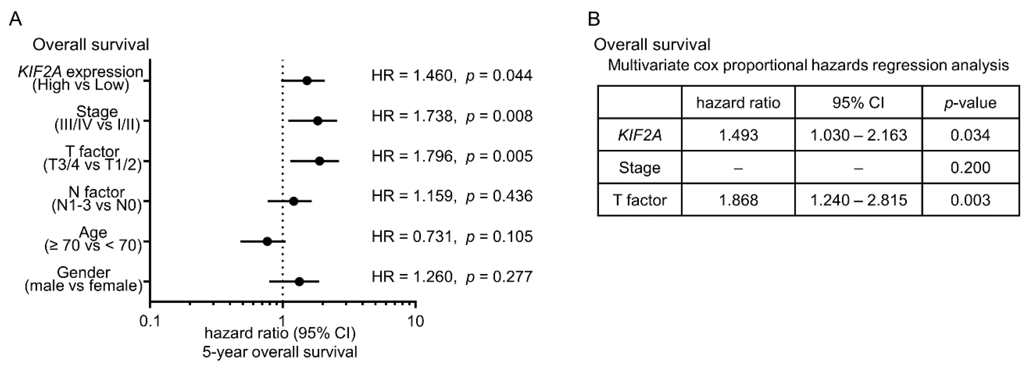 Cancers 11 00258 g008