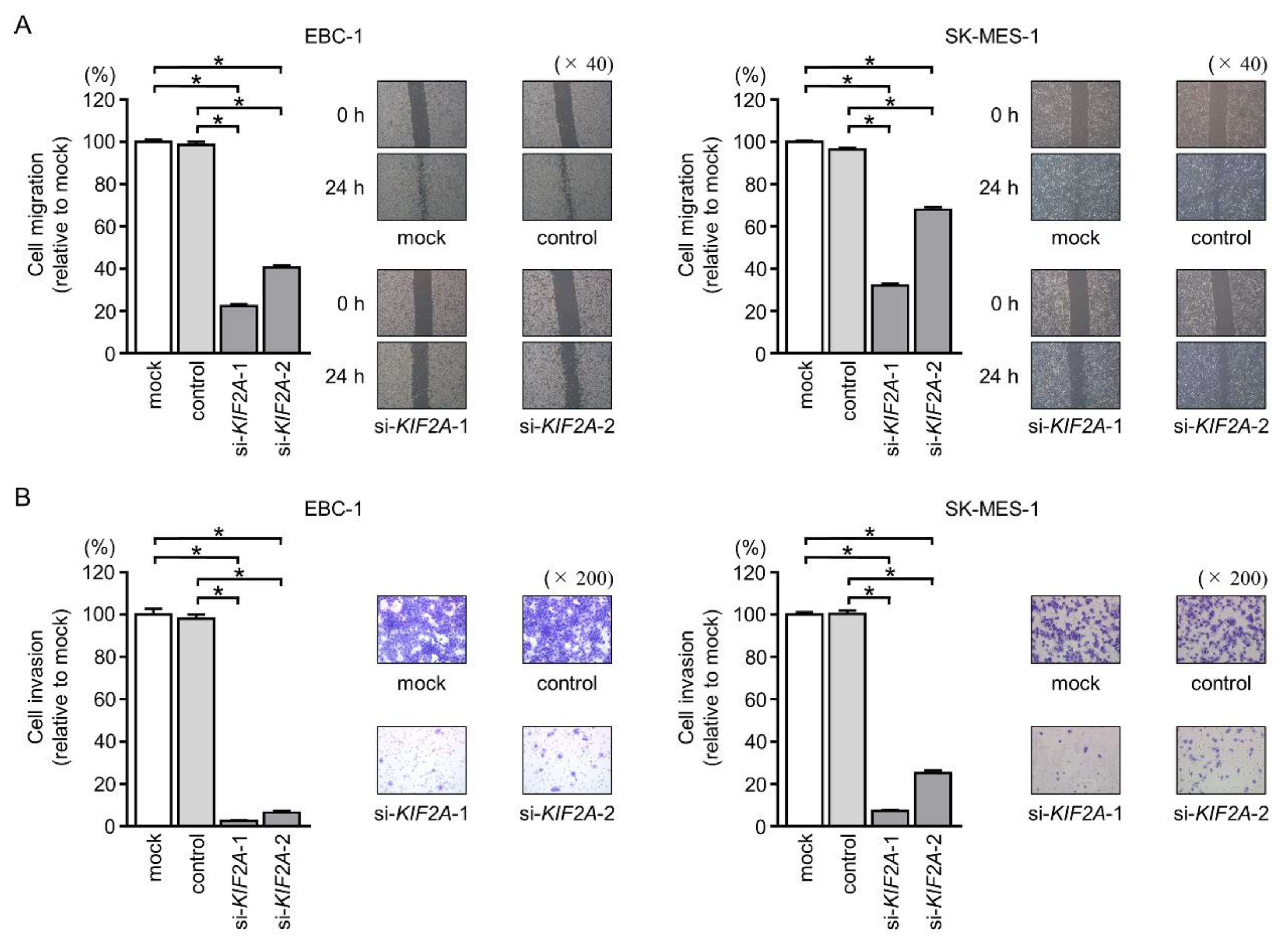 Cancers 11 00258 g012