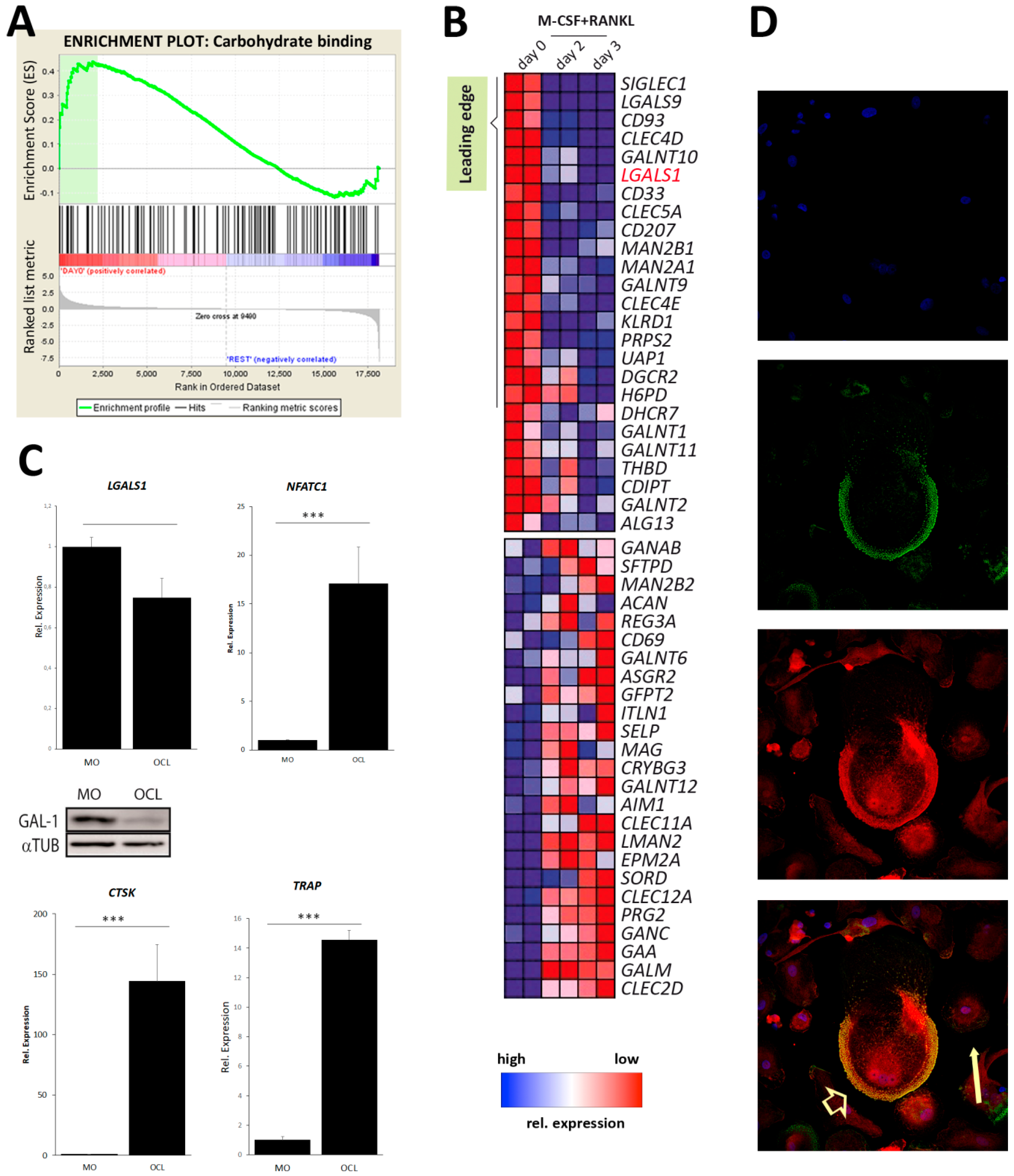 Cancers 11 00261 g001