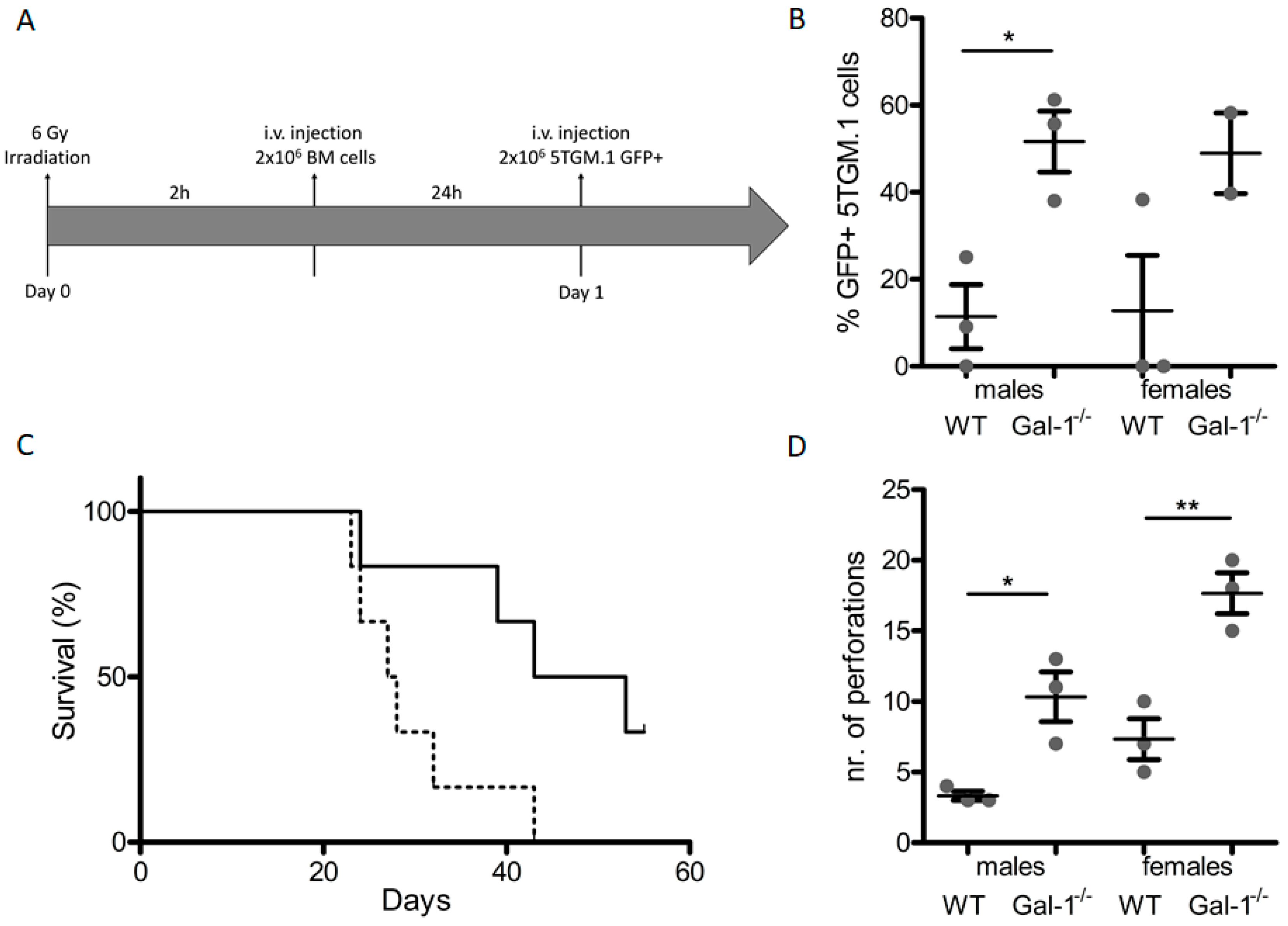 Cancers 11 00261 g004