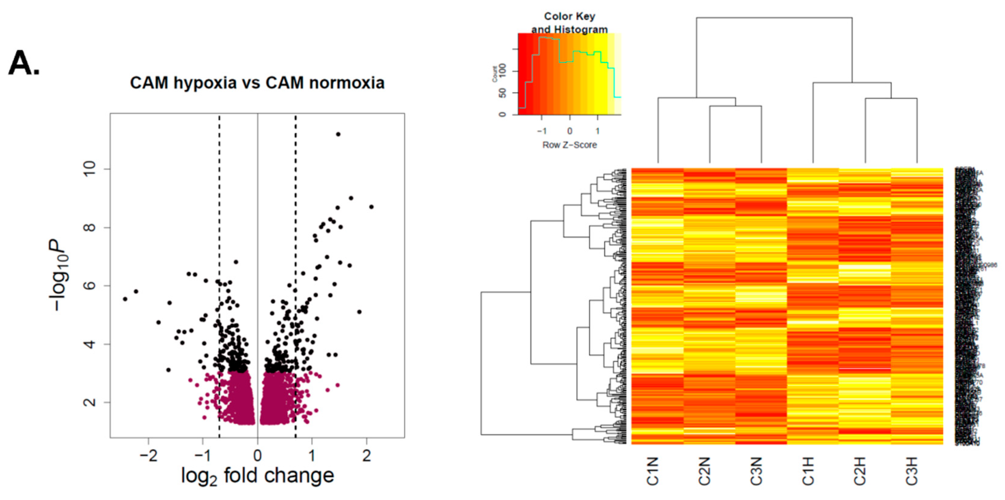Cancers 11 00263 g002a