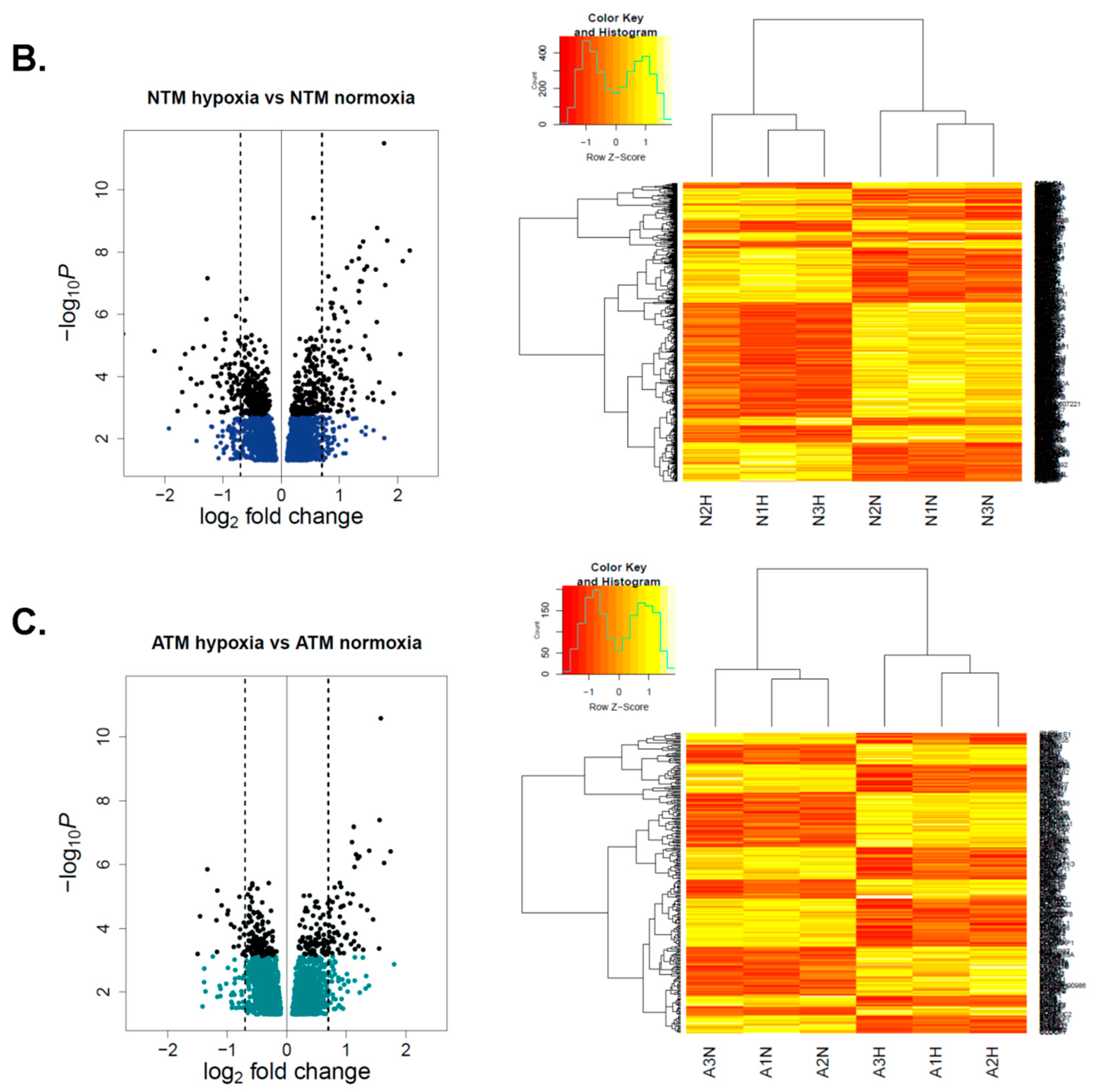 Cancers 11 00263 g002b